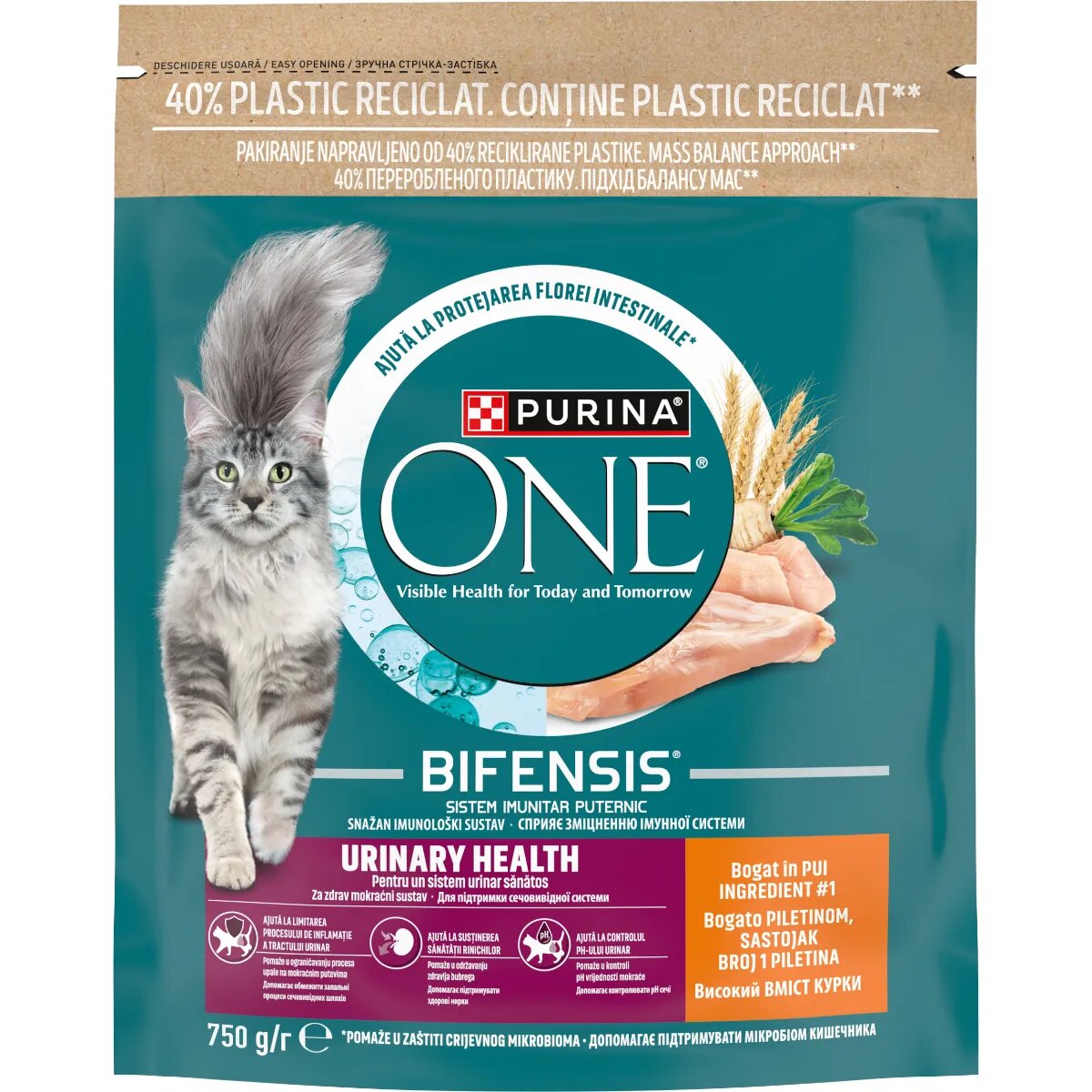 Purina ONE Urinary Health Pui hrană uscată pisici sistem urinar 750g
