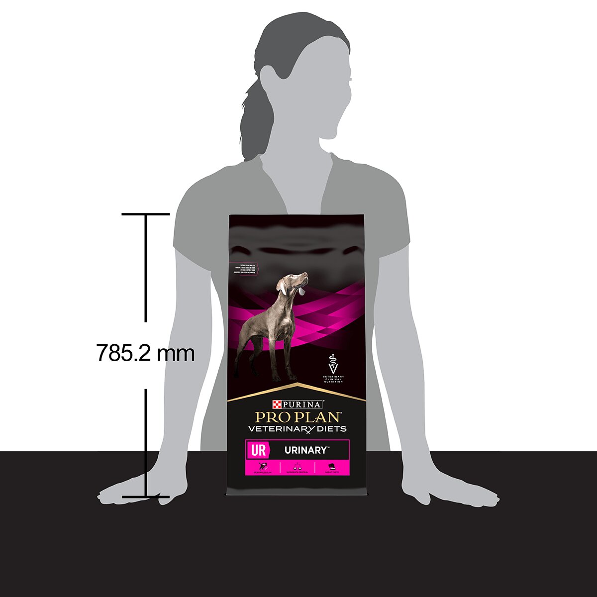 Purina Pro Plan Veterinary Diets Urinary dietă veterinară câini hrană uscată afecțiuni urinare 12kg
