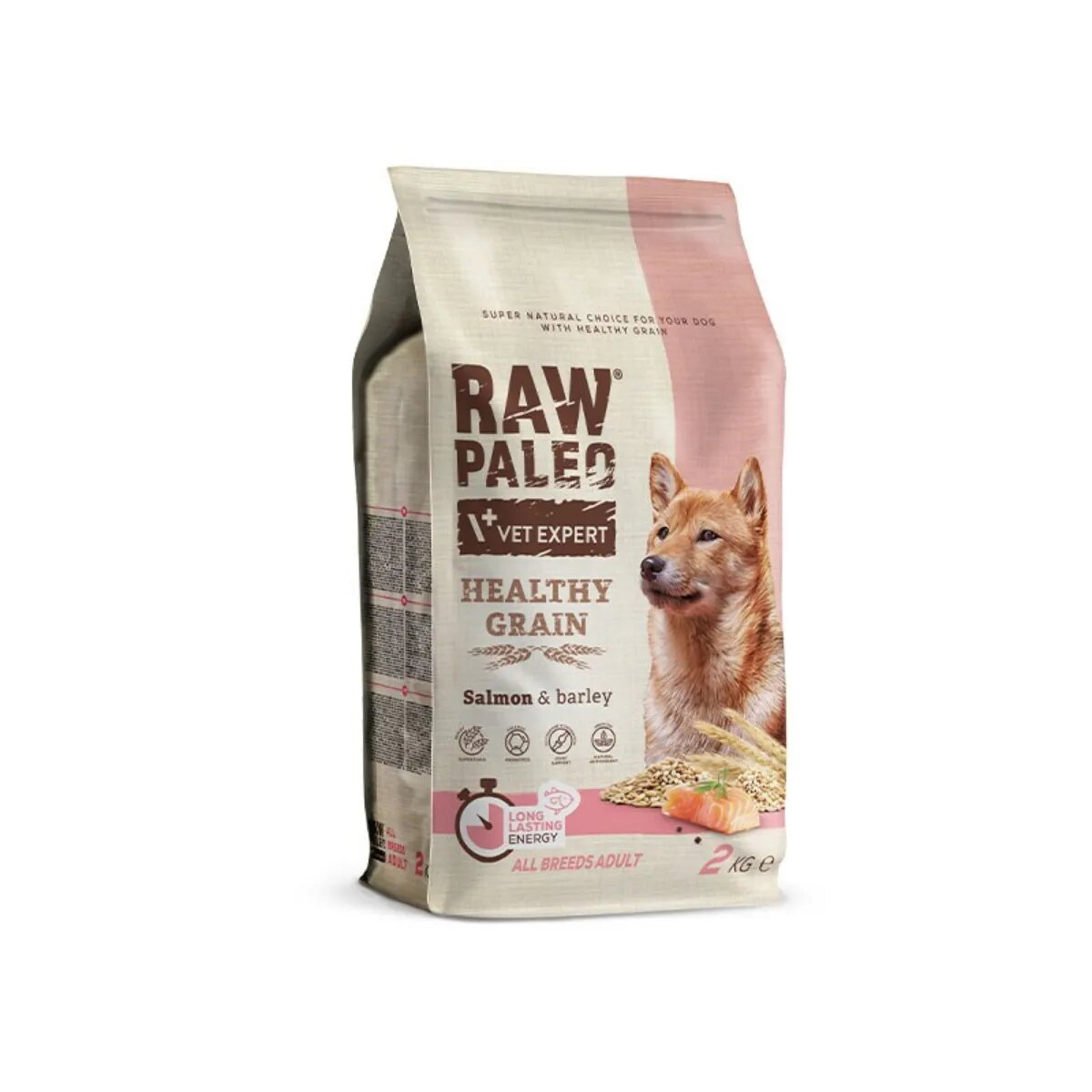 Raw Paleo Healthy Grain XS-XL Somon hrană uscată câini 10kg