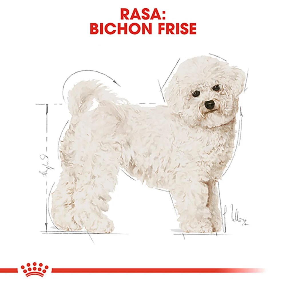Royal Canin Bichon Frise Adult hrană uscată câini 1.5kg