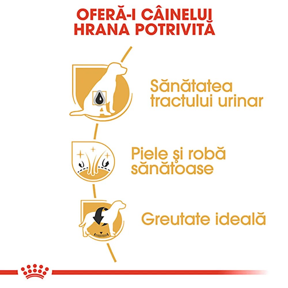 Royal Canin Bichon Frise Adult hrană uscată câini 1.5kg