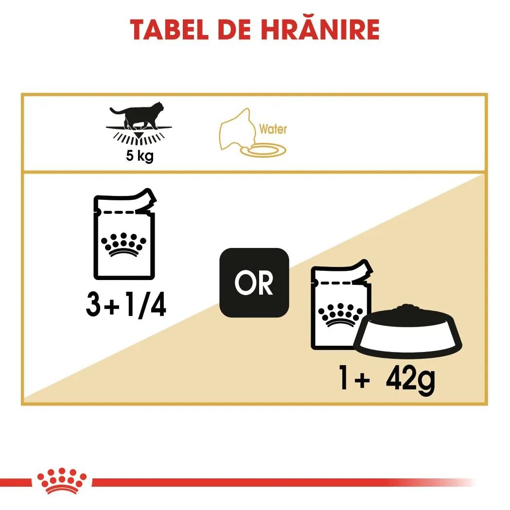 Royal Canin British Shorthair Adult hrană umedă pisici (în sos) 85g