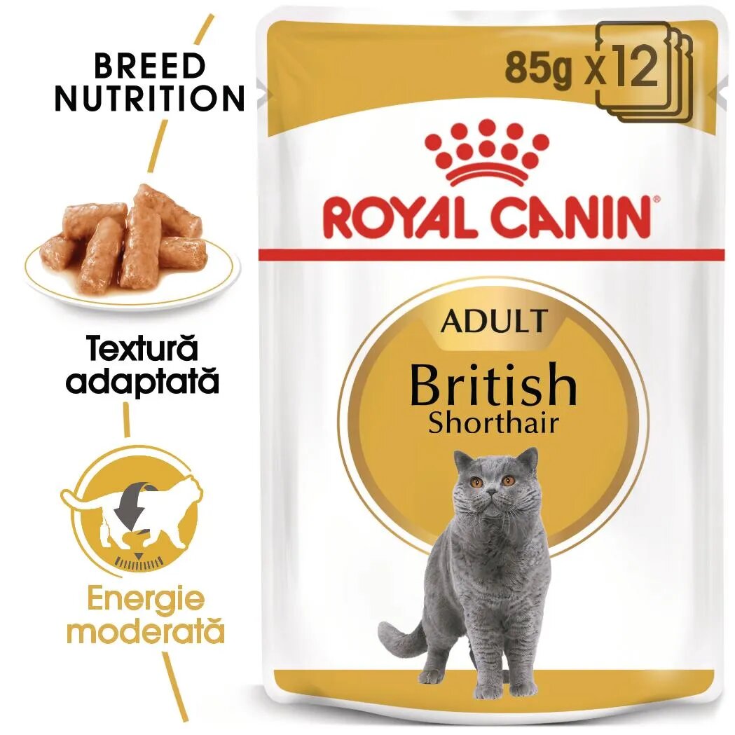 Royal Canin British Shorthair Adult hrană umedă pisici (în sos) bax 85g x 12buc