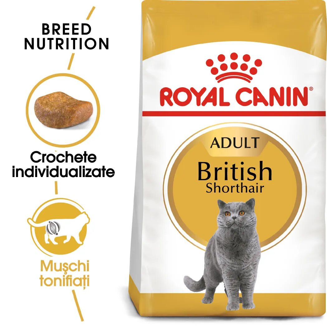 Royal Canin British Shorthair Adult hrană uscată pisici 400g