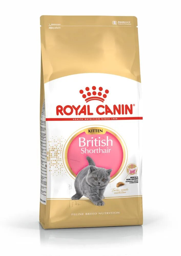 Royal Canin British Shorthair Kitten hrană uscată pisici junior 10kg