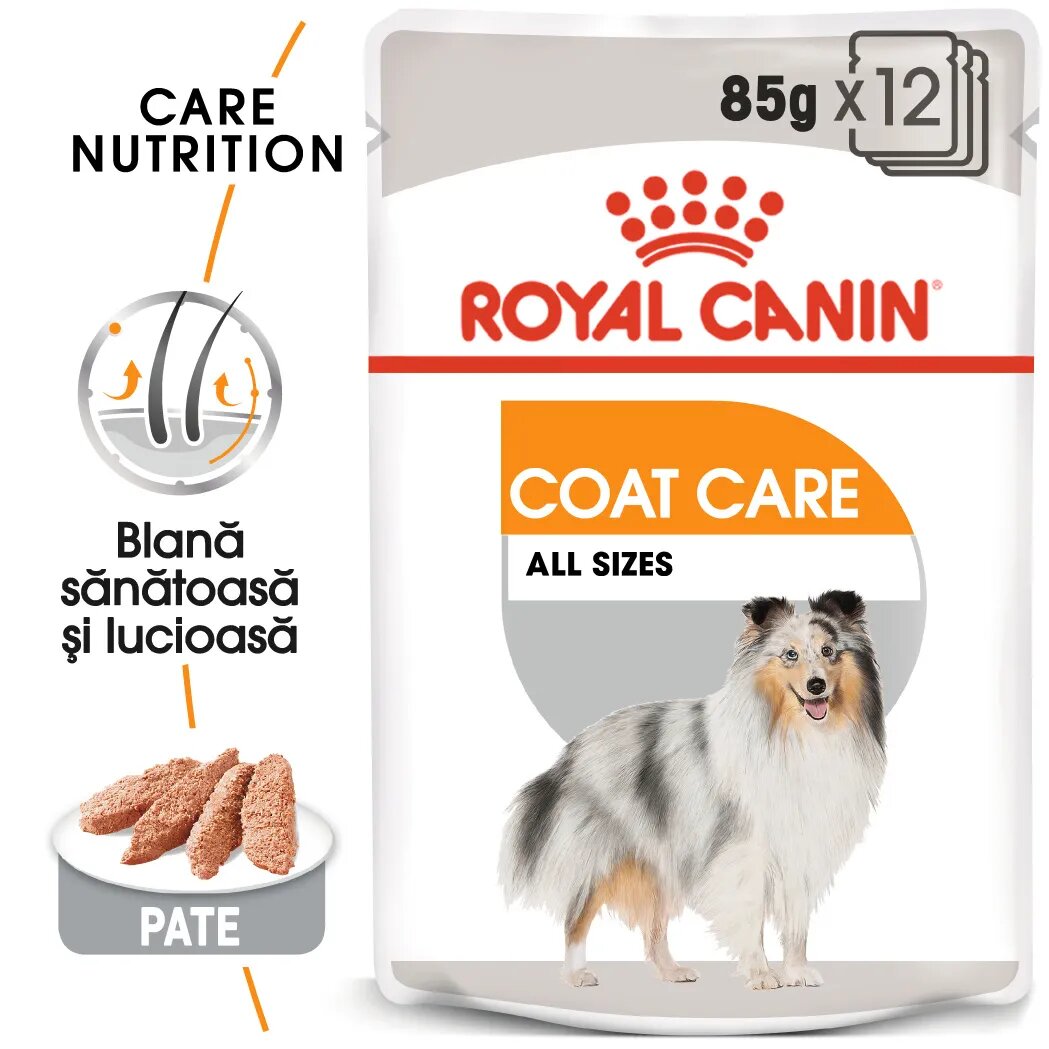 Royal Canin Coat Care Adult hrană umedă câini blană sănătoasă și lucioasă (pate) bax 85g x 12buc
