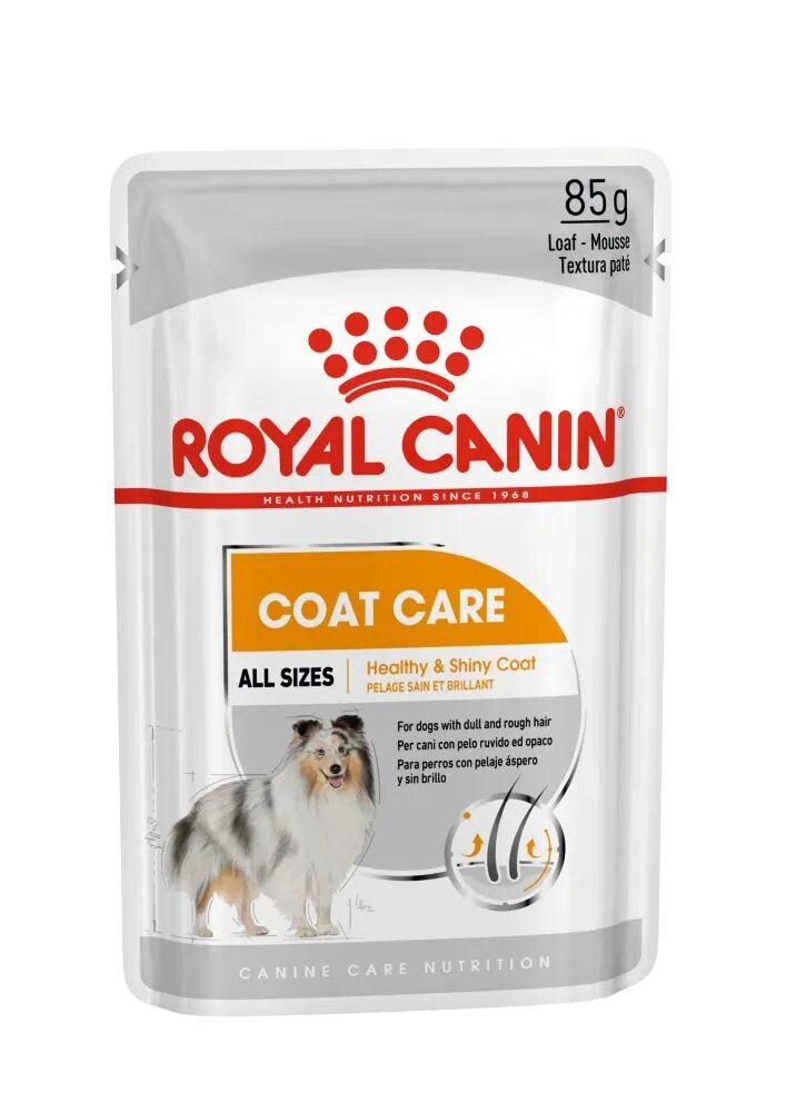 Royal Canin Coat Care Adult hrană umedă câini blană sănătoasă și lucioasă (pate) bax 85g x 12buc