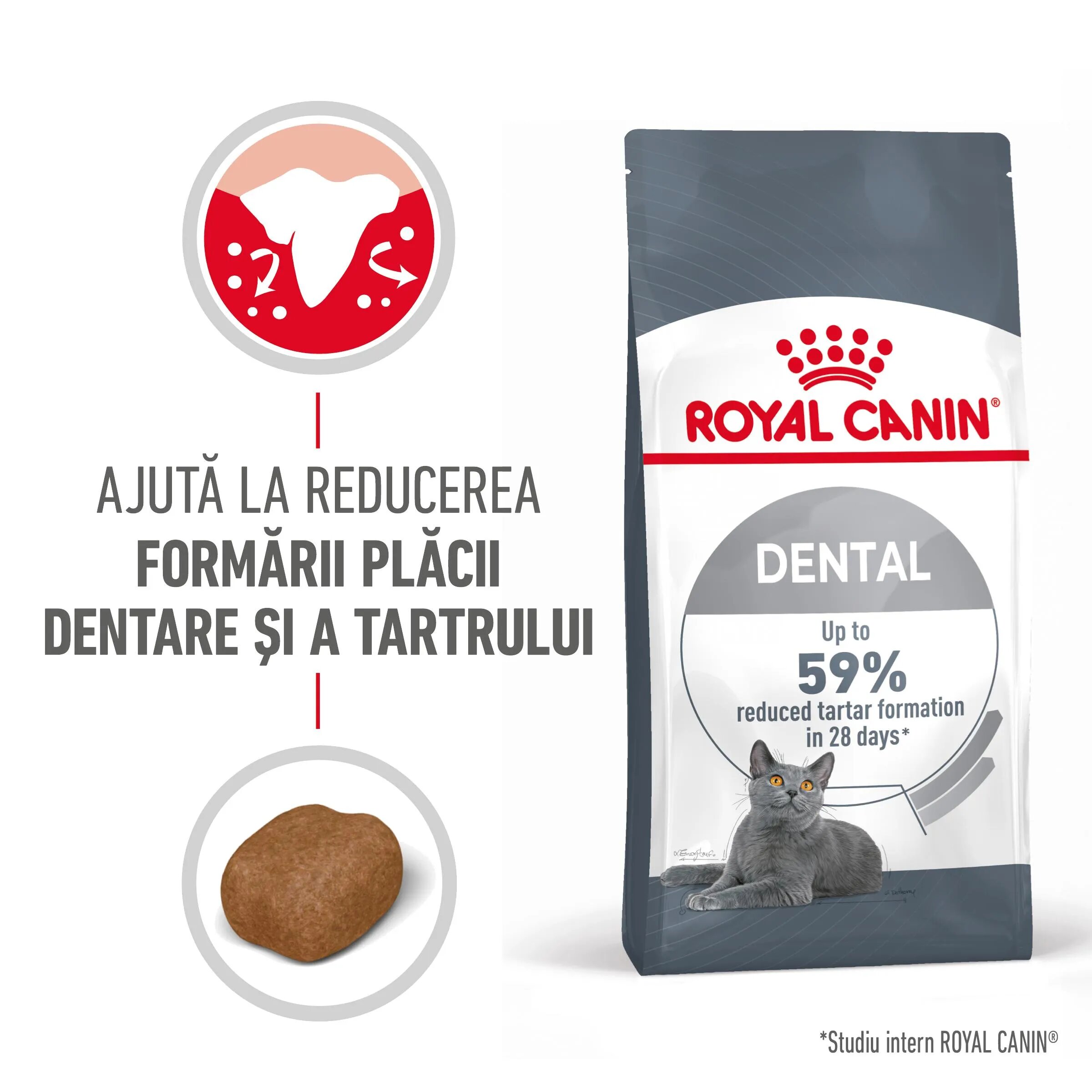 Royal Canin Dental Care Adult hrană uscată pisici reducerea formării tartrului 8kg