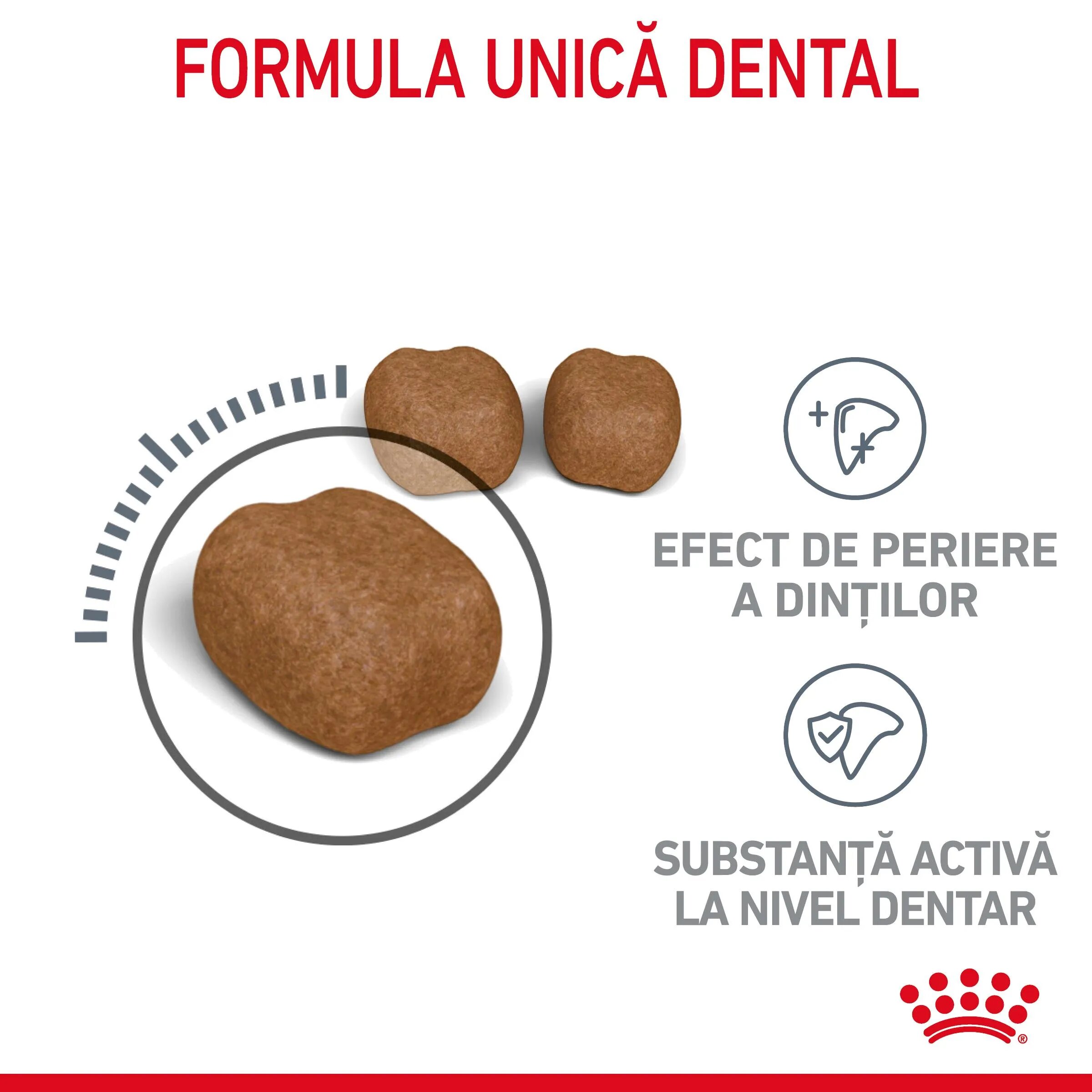 Royal Canin Dental Care Adult hrană uscată pisici reducerea formării tartrului 8kg