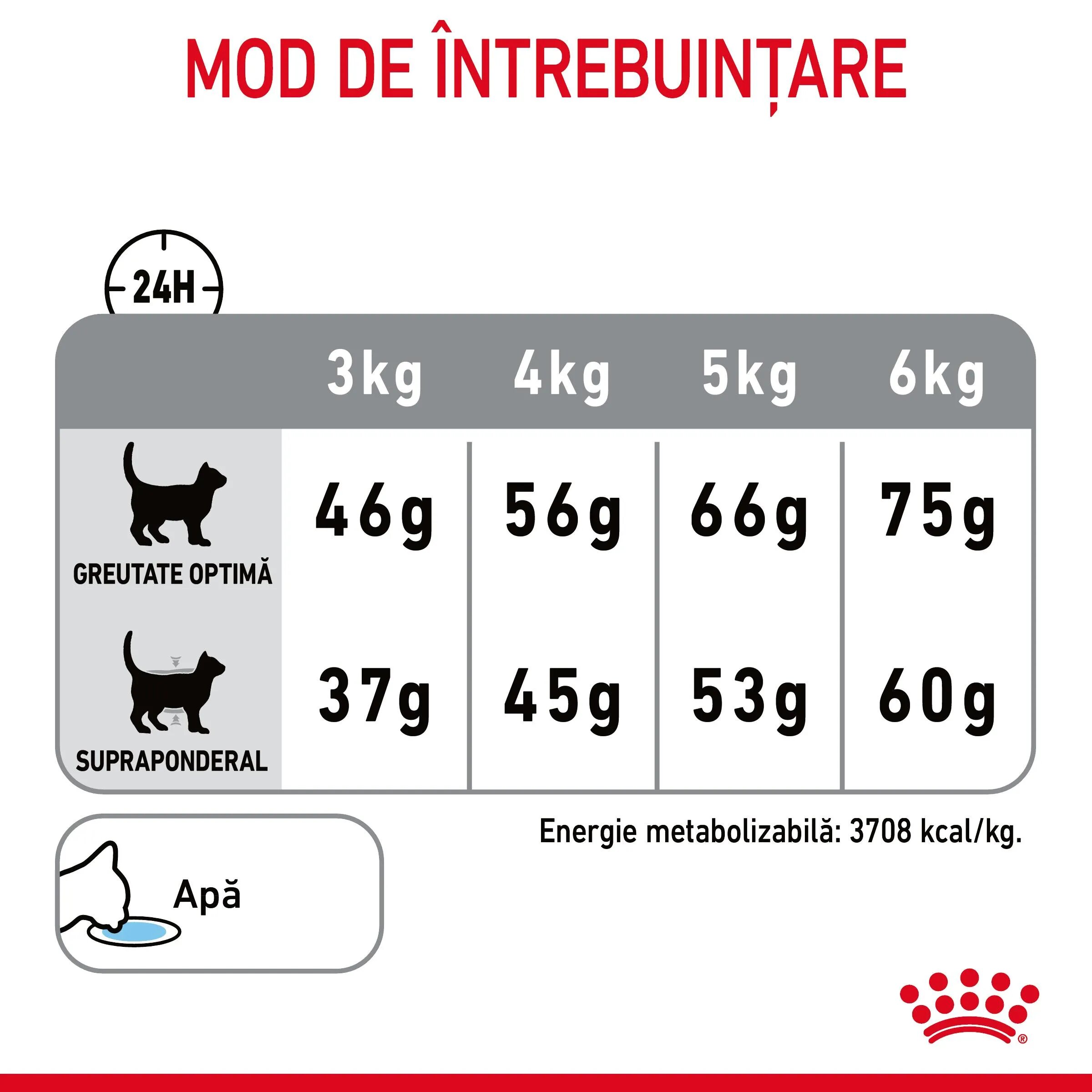 Royal Canin Dental Care Adult hrană uscată pisici reducerea formării tartrului 8kg