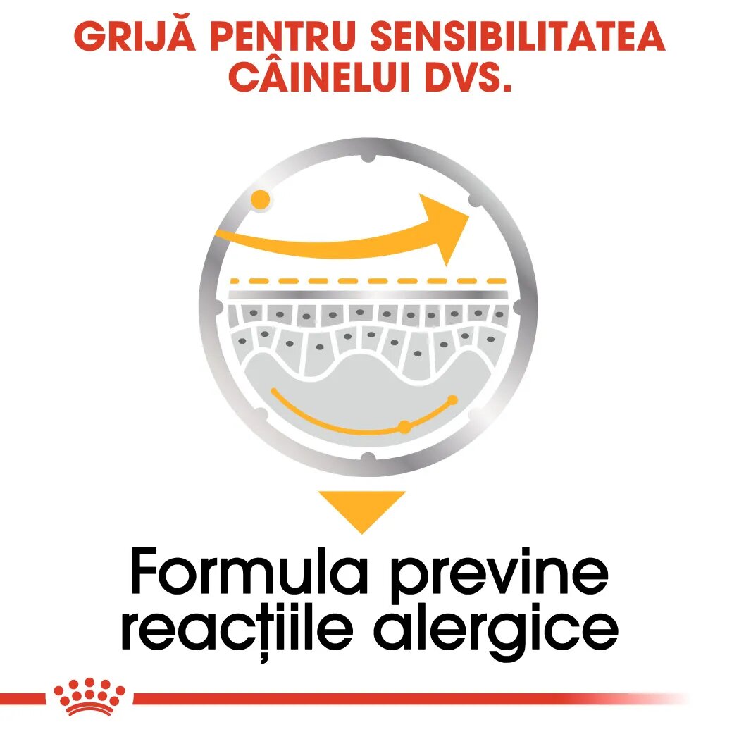 Royal Canin Dermacomfort Adult hrană umedă câini prevenirea iritațiilor pielii (pate) 85g