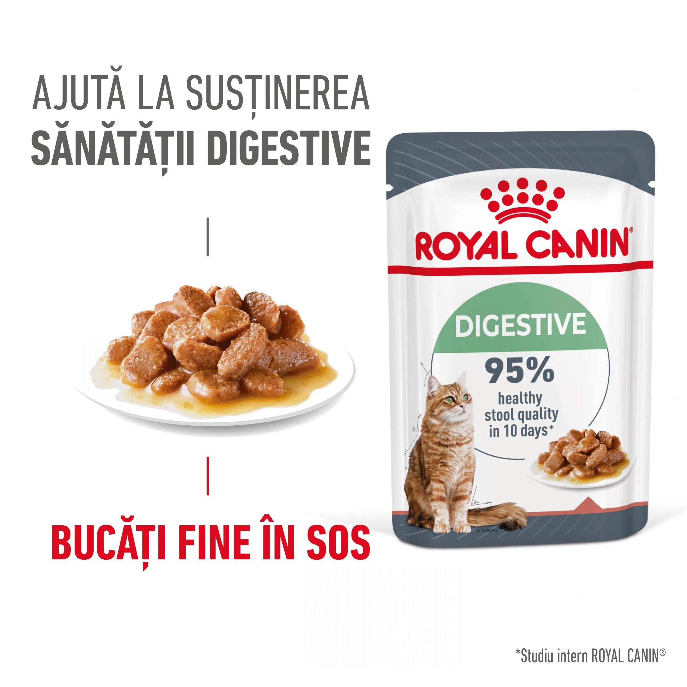 Royal Canin Digest Sensitive Care Adult hrană umedă pisici confort digestiv (în sos) 85g