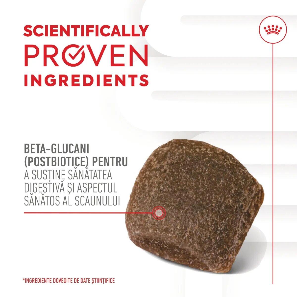 Royal Canin Digestion Chews Adult Supplements punguță recompense funcționale câini sistem digestiv 160g