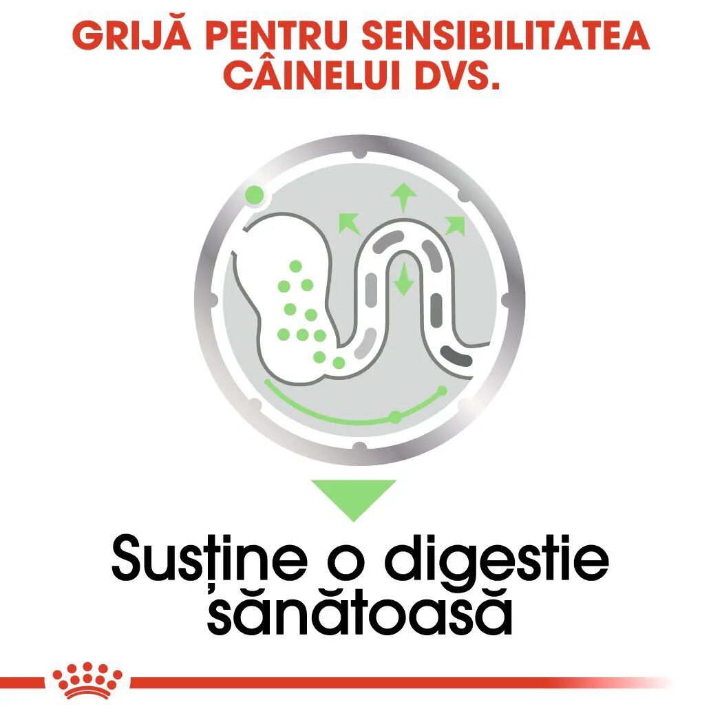 Royal Canin Digestive Care Adult hrană umedă câini confort digestiv (pate) bax 85g x 12buc