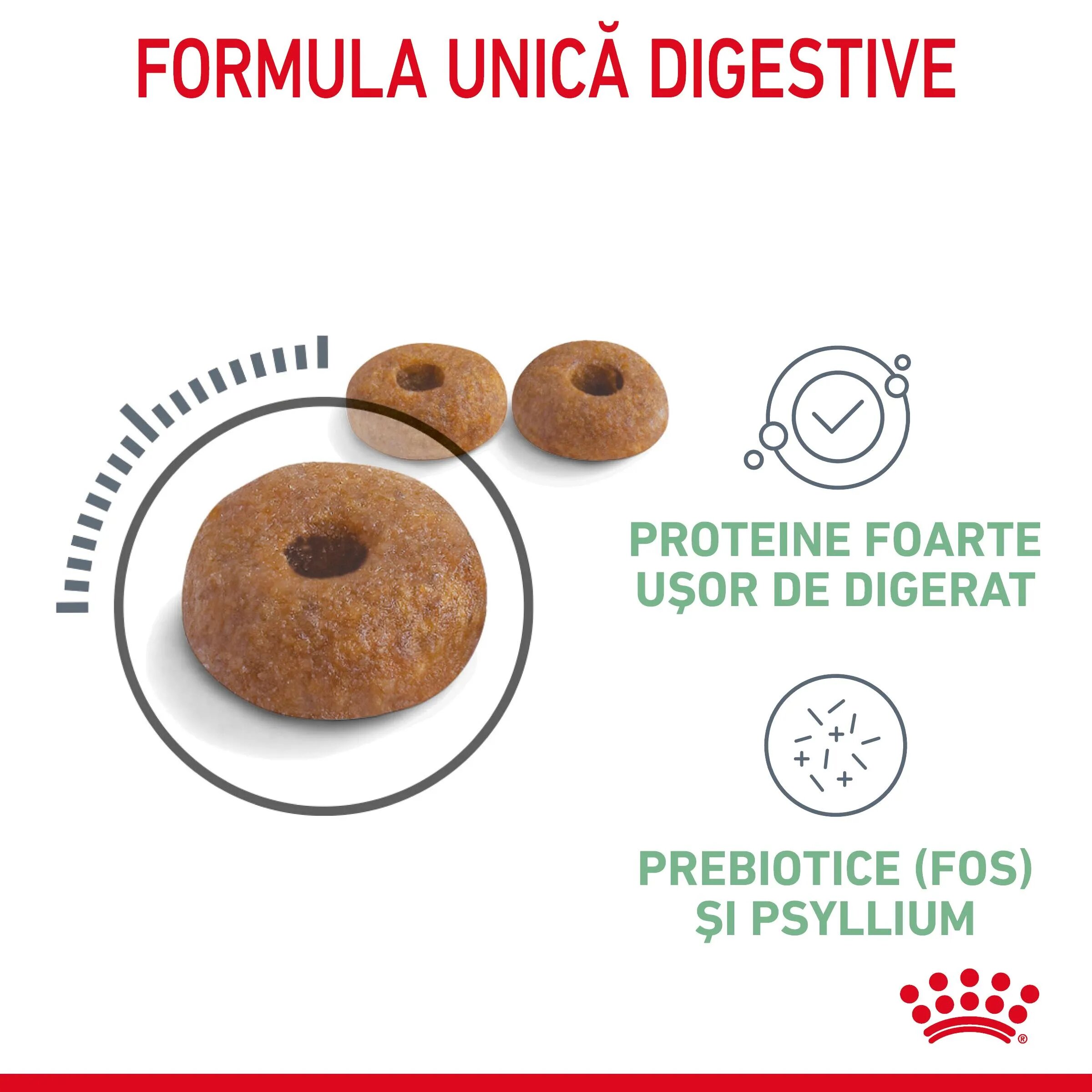 Royal Canin Digestive Care Adult hrană uscată pisici confort digestiv 10kg