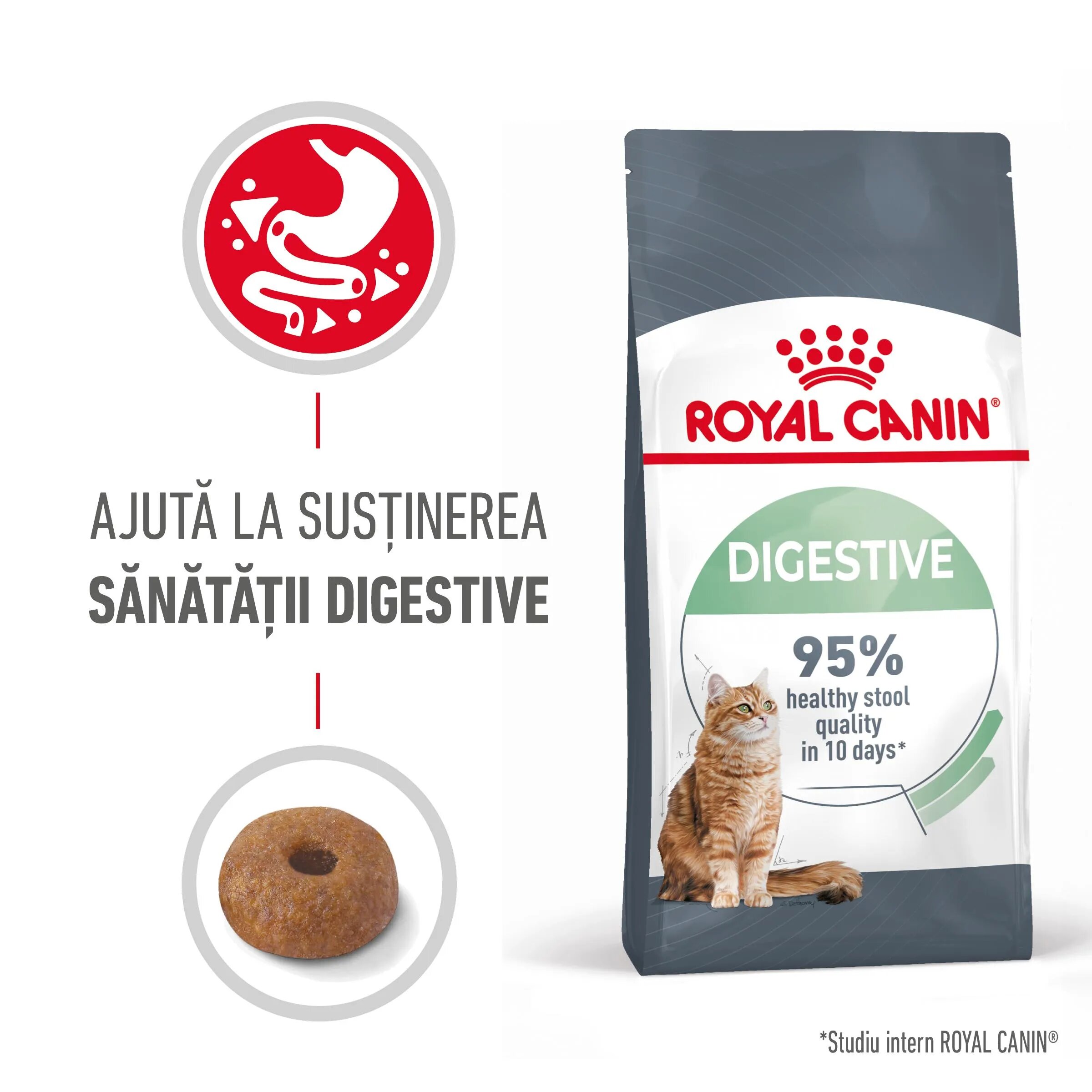 Royal Canin Digestive Care Adult hrană uscată pisici confort digestiv 400g