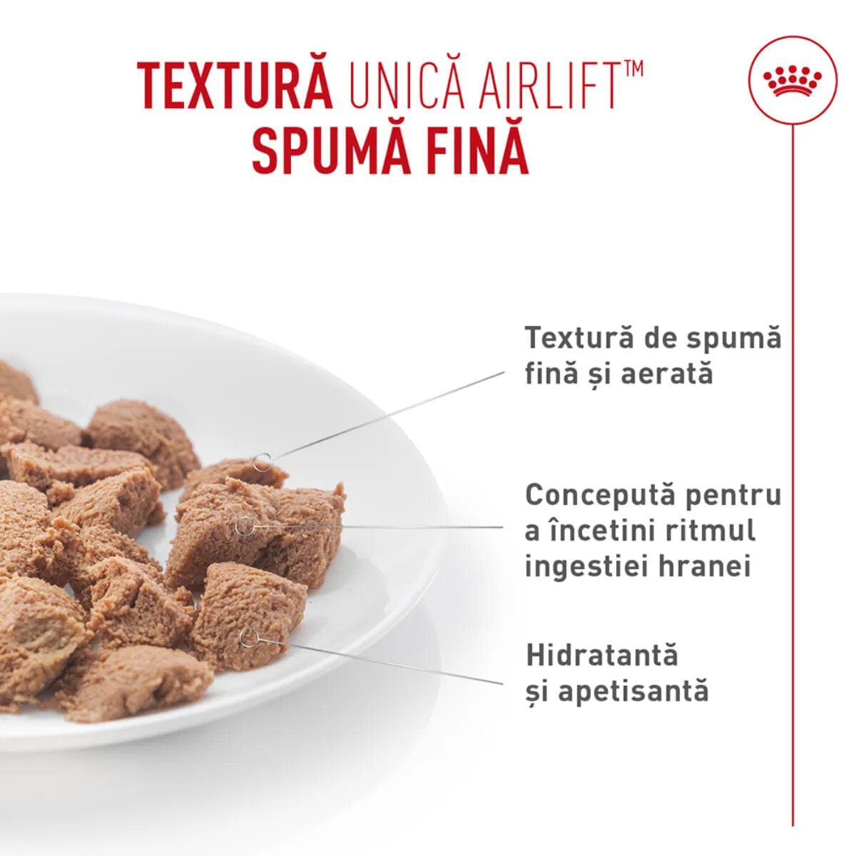 Royal Canin Feline Care Nutrition Digestive Care AirLift conservă hrană umedă pisici sistem digestiv (mousse) bax 85g x 12buc
