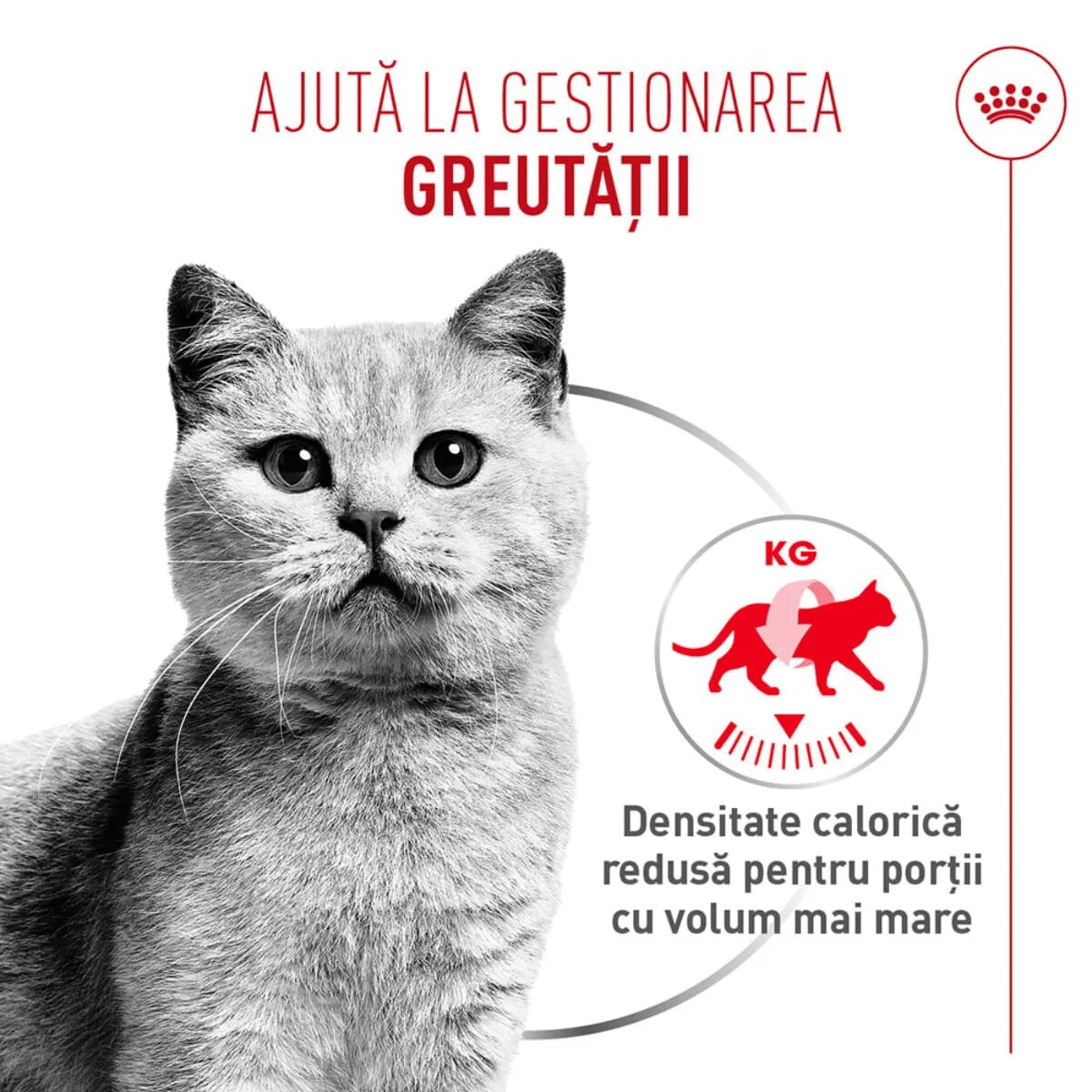 Royal Canin Feline Care Nutrition Light Weight Care AirLift conservă hrană umedă pisici obezitate (mousse) bax 85g x 12buc