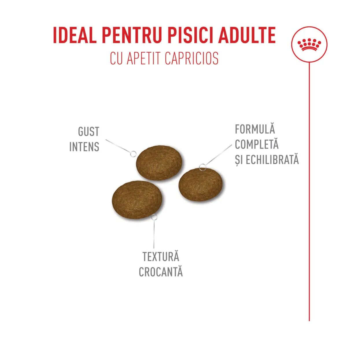 Royal Canin Feline Health Nutrition Fussy hrană uscată pisici apetit capricios 10+2kg GRATUIT