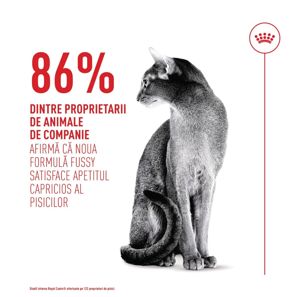 Royal Canin Feline Health Nutrition Fussy hrană uscată pisici apetit capricios 10kg