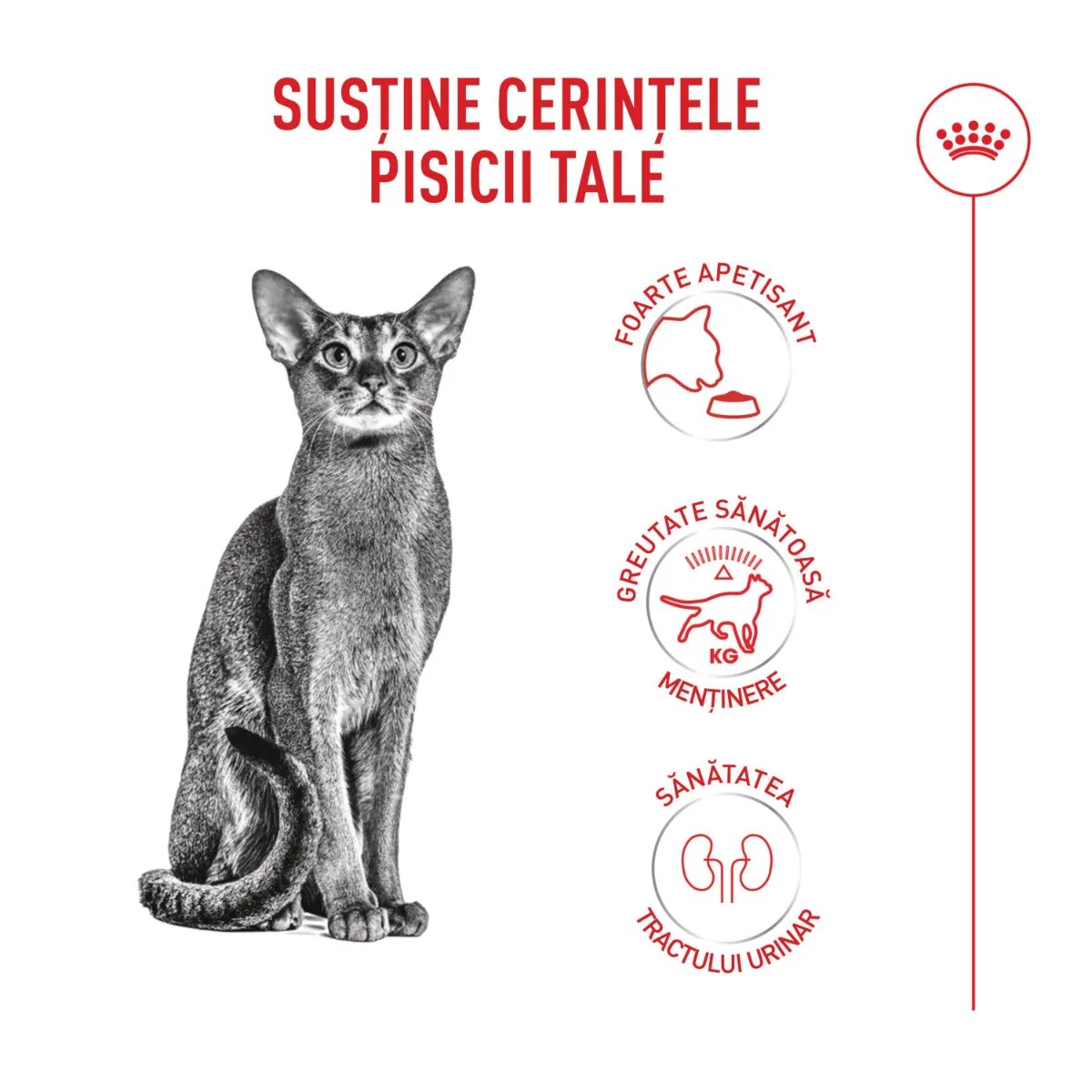 Royal Canin Feline Health Nutrition Fussy hrană uscată pisici apetit capricios 4kg