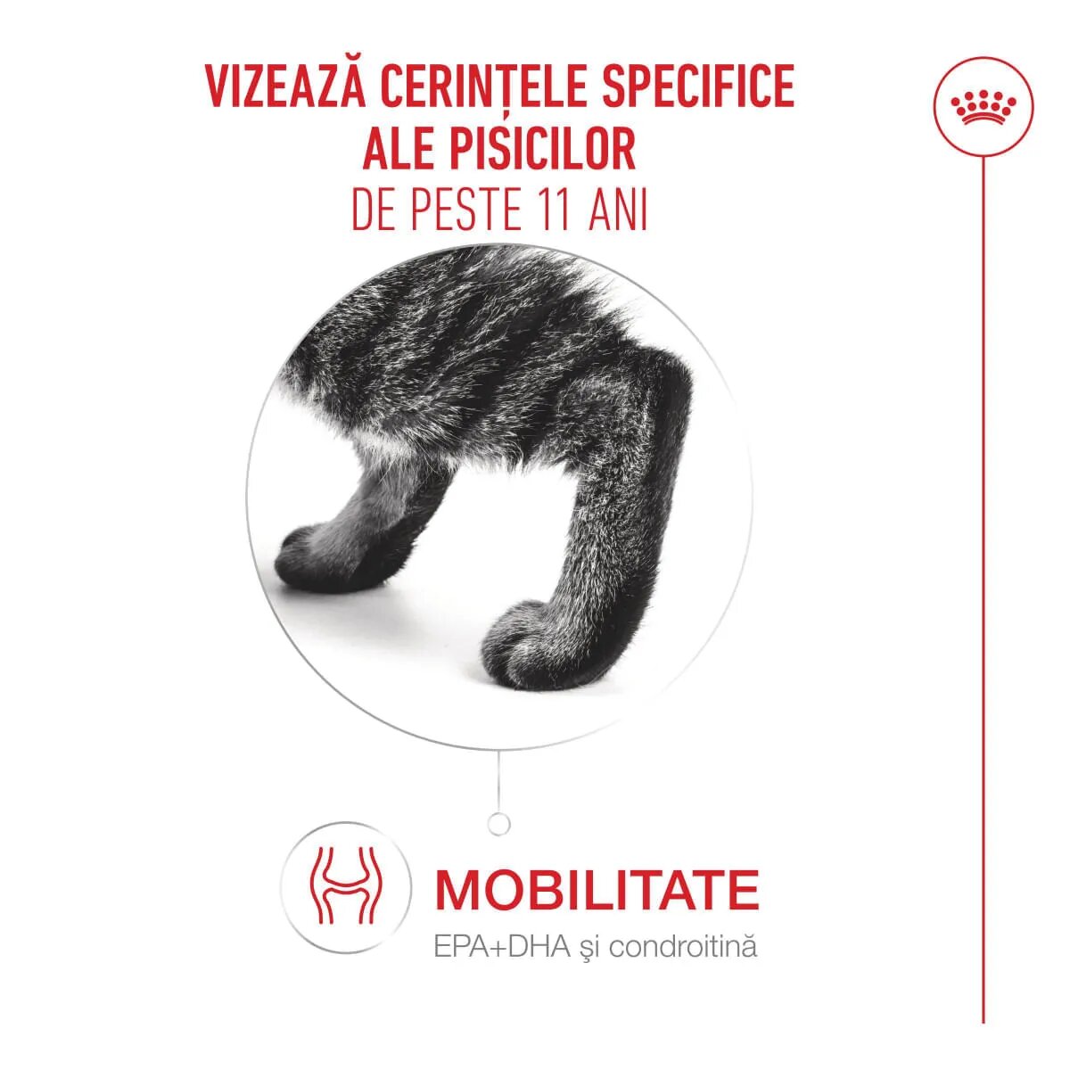 Royal Canin Feline Health Nutrition Healthy Ageing 11+ hrană uscată pisici senior 2kg