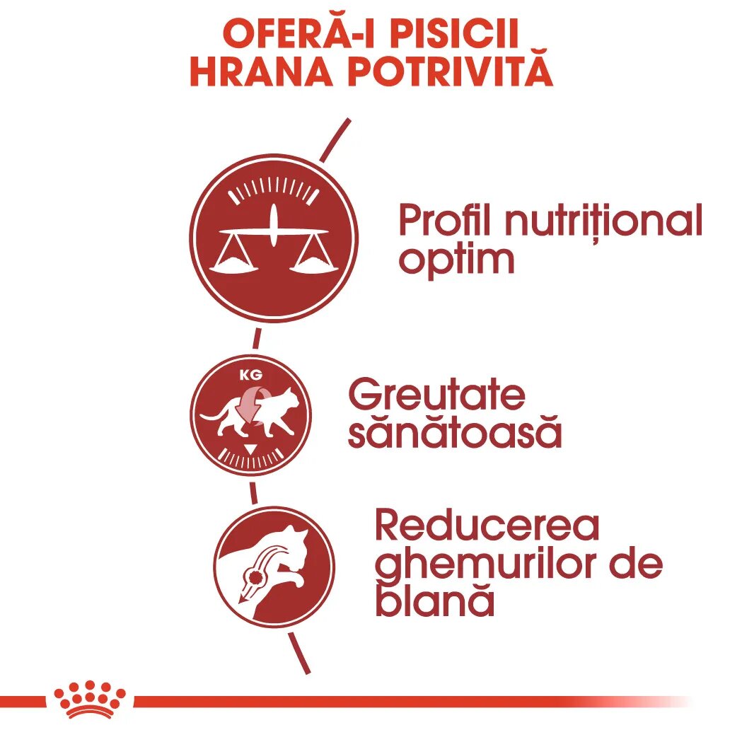 Royal Canin Fit32 Adult hrană uscată pisici activitate fizică moderată 10+2kg GRATUIT
