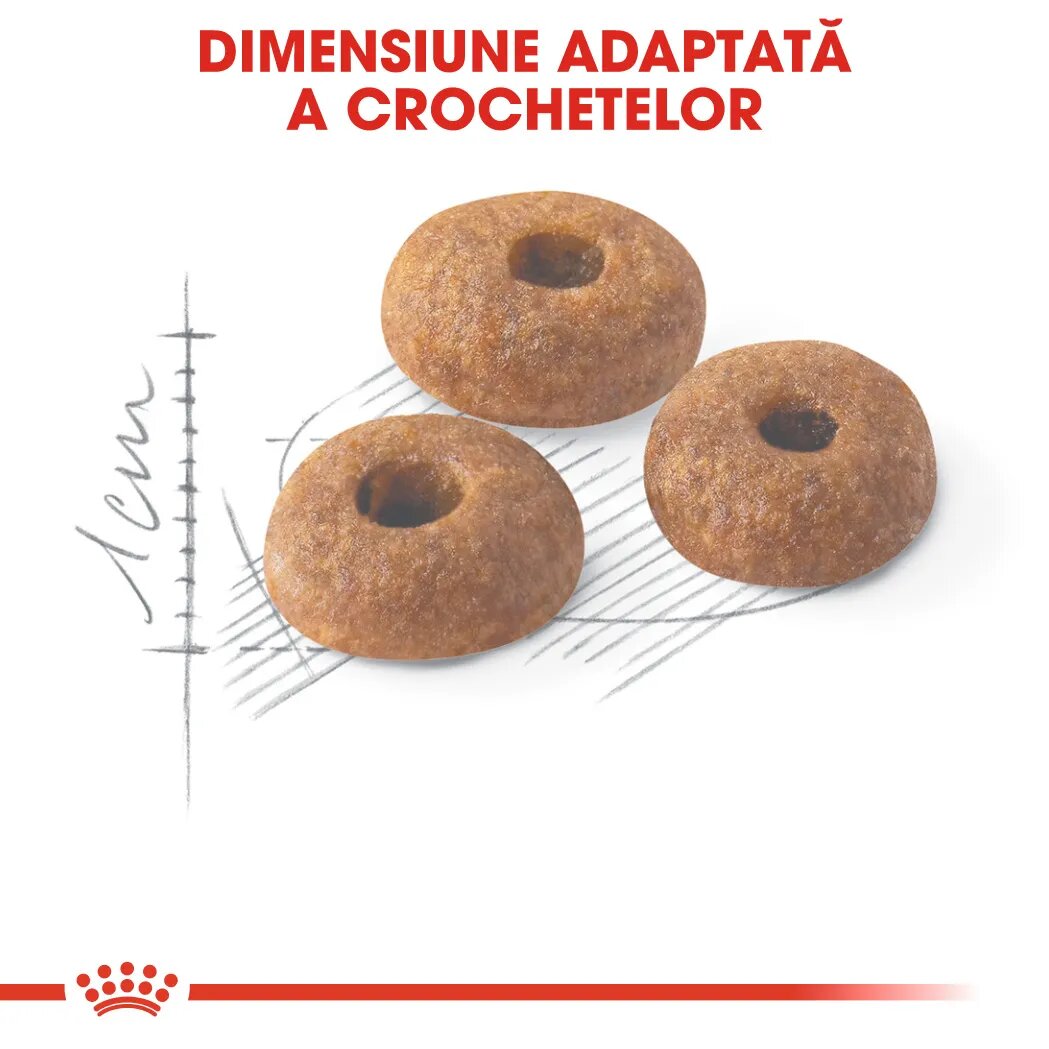 Royal Canin Fit32 Adult hrană uscată pisici activitate fizică moderată 10+2kg GRATUIT
