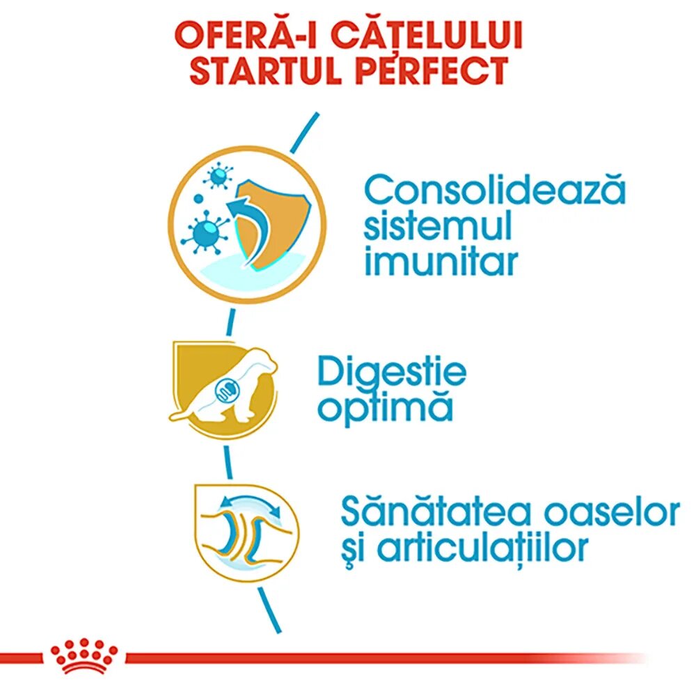 Royal Canin German Shepherd Puppy hrană uscată câini junior 3kg
