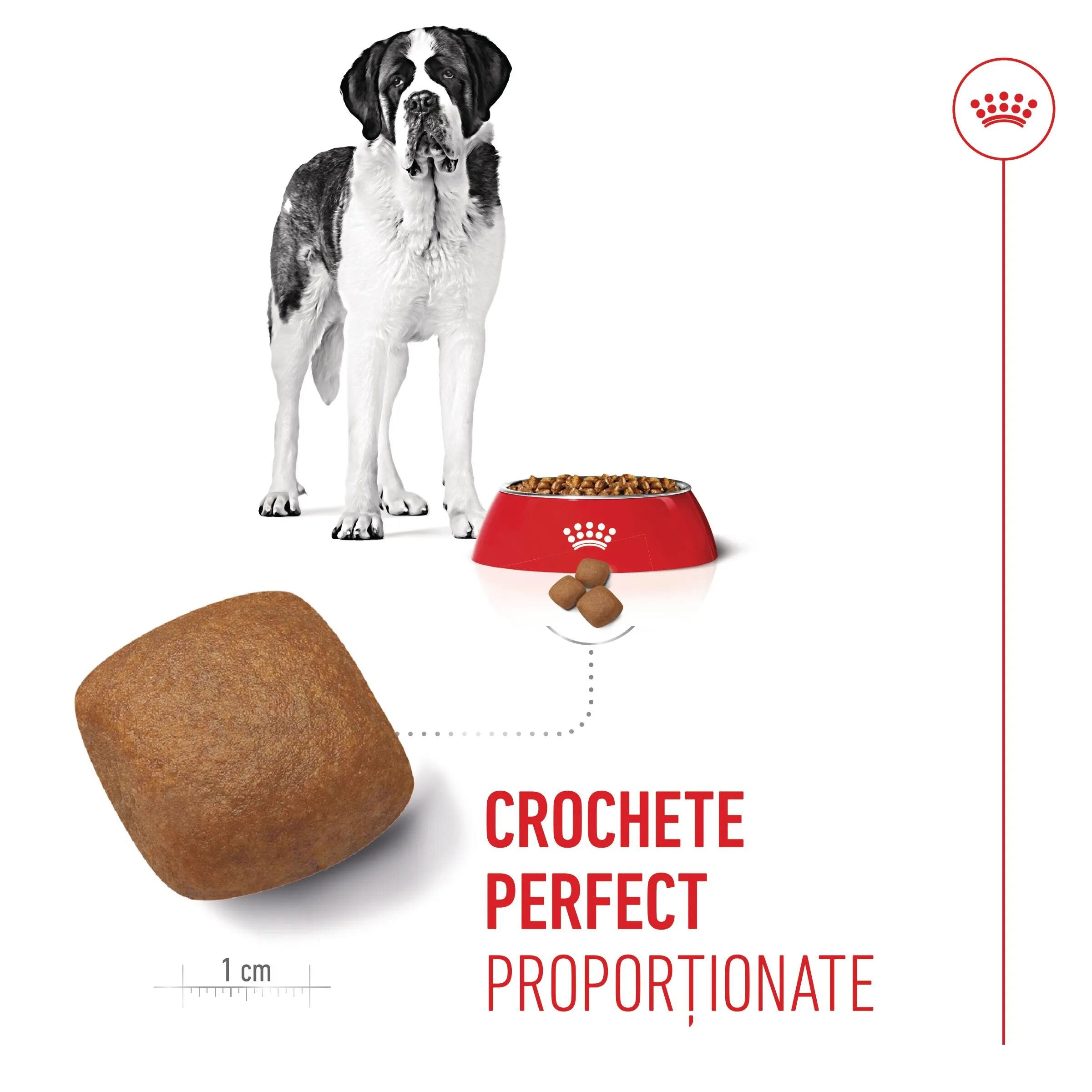 Royal Canin Giant Junior hrană uscată câini junior etapa 2 de creștere 15kg