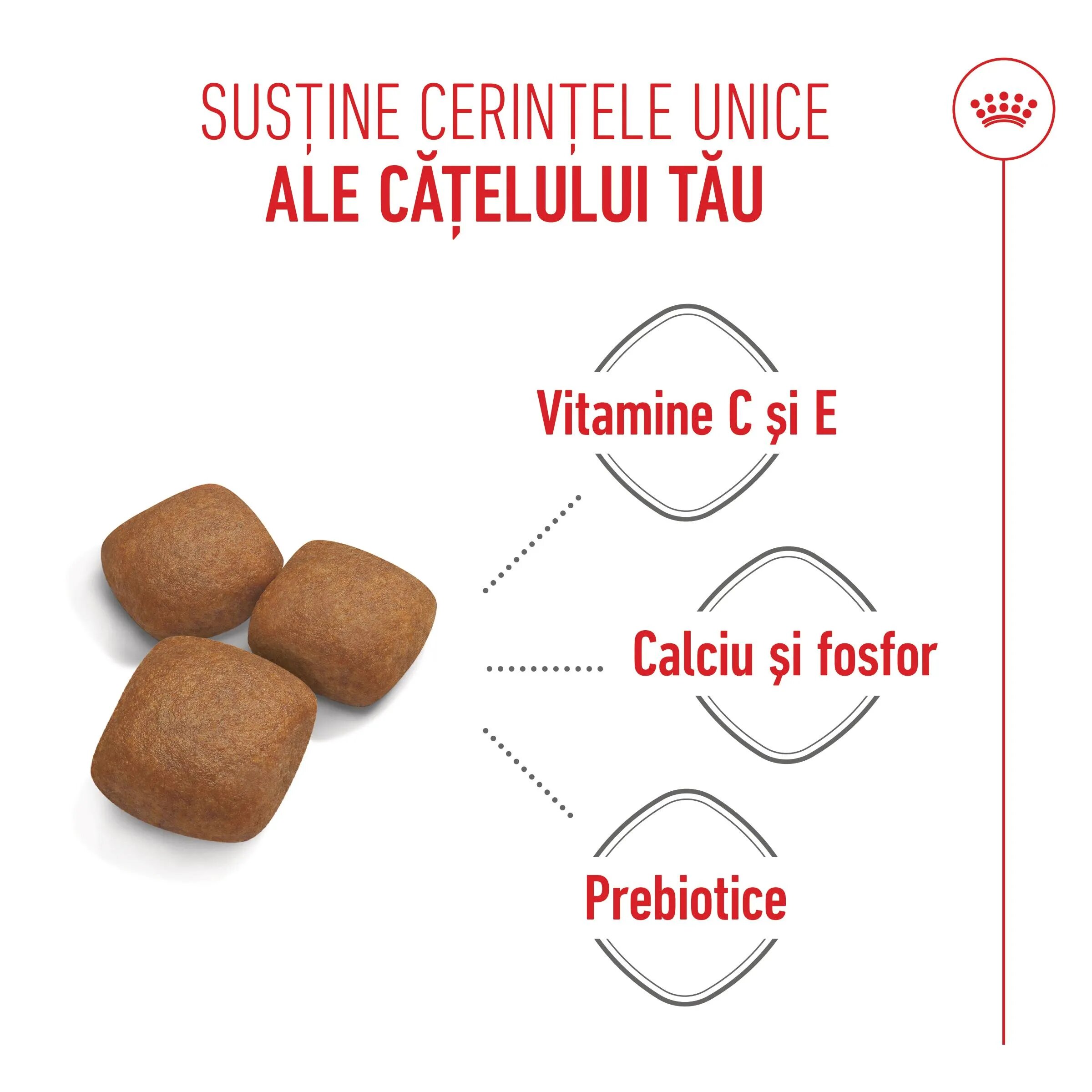 Royal Canin Giant Junior hrană uscată câini junior etapa 2 de creștere 3.5kg