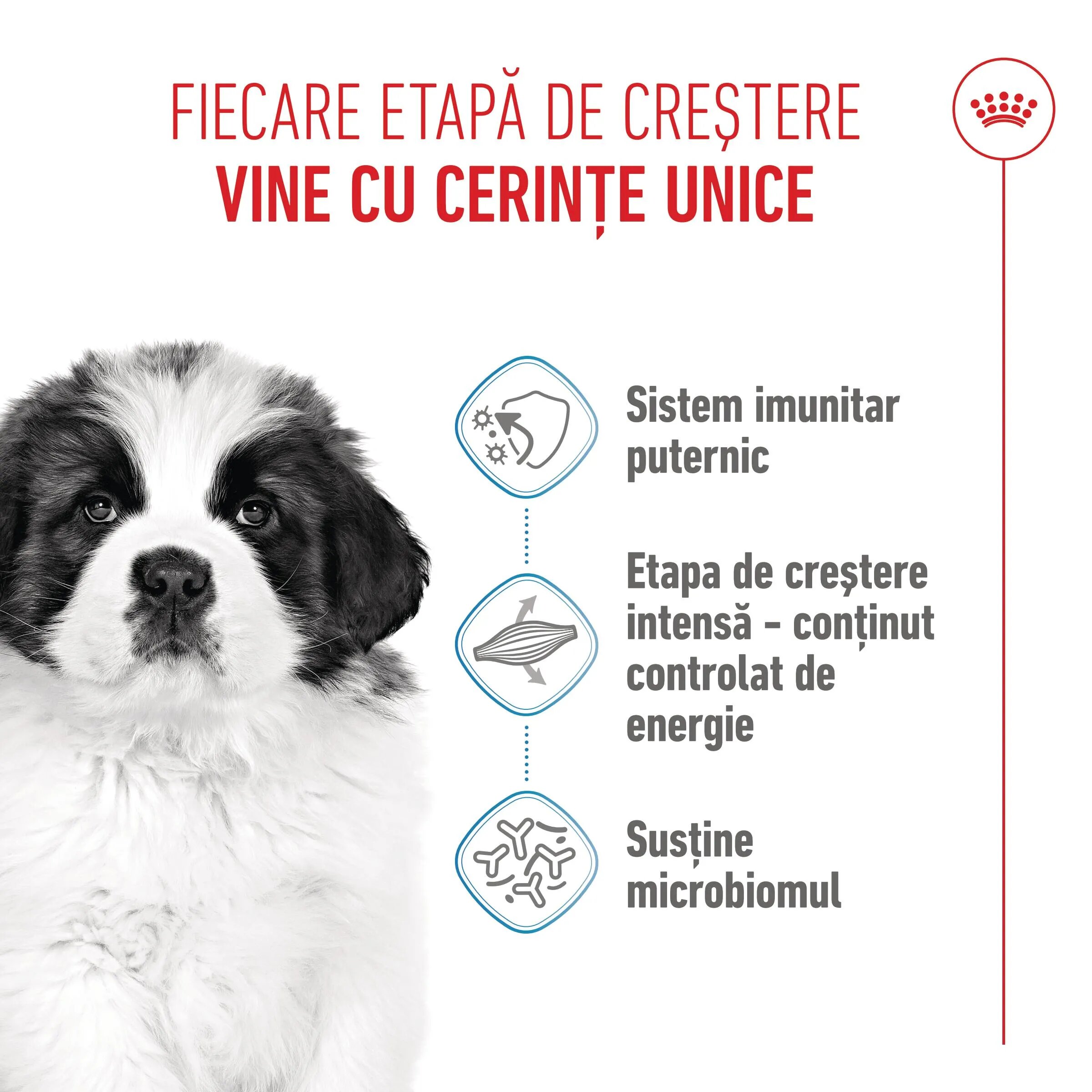 Royal Canin Giant Puppy hrană uscată câini junior etapa 1 de creștere 3.5kg