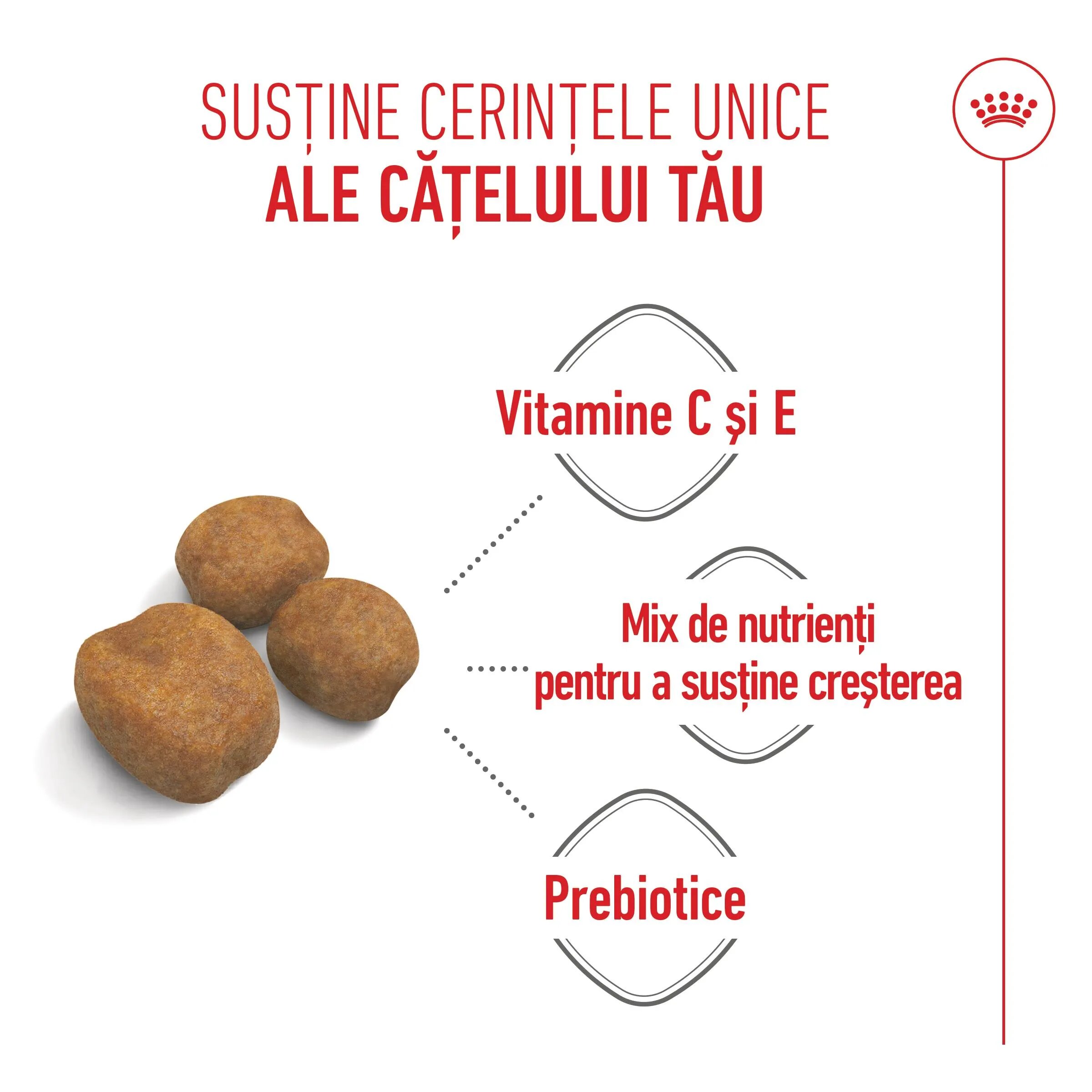 Royal Canin Giant Puppy hrană uscată câini junior etapa 1 de creștere 3.5kg