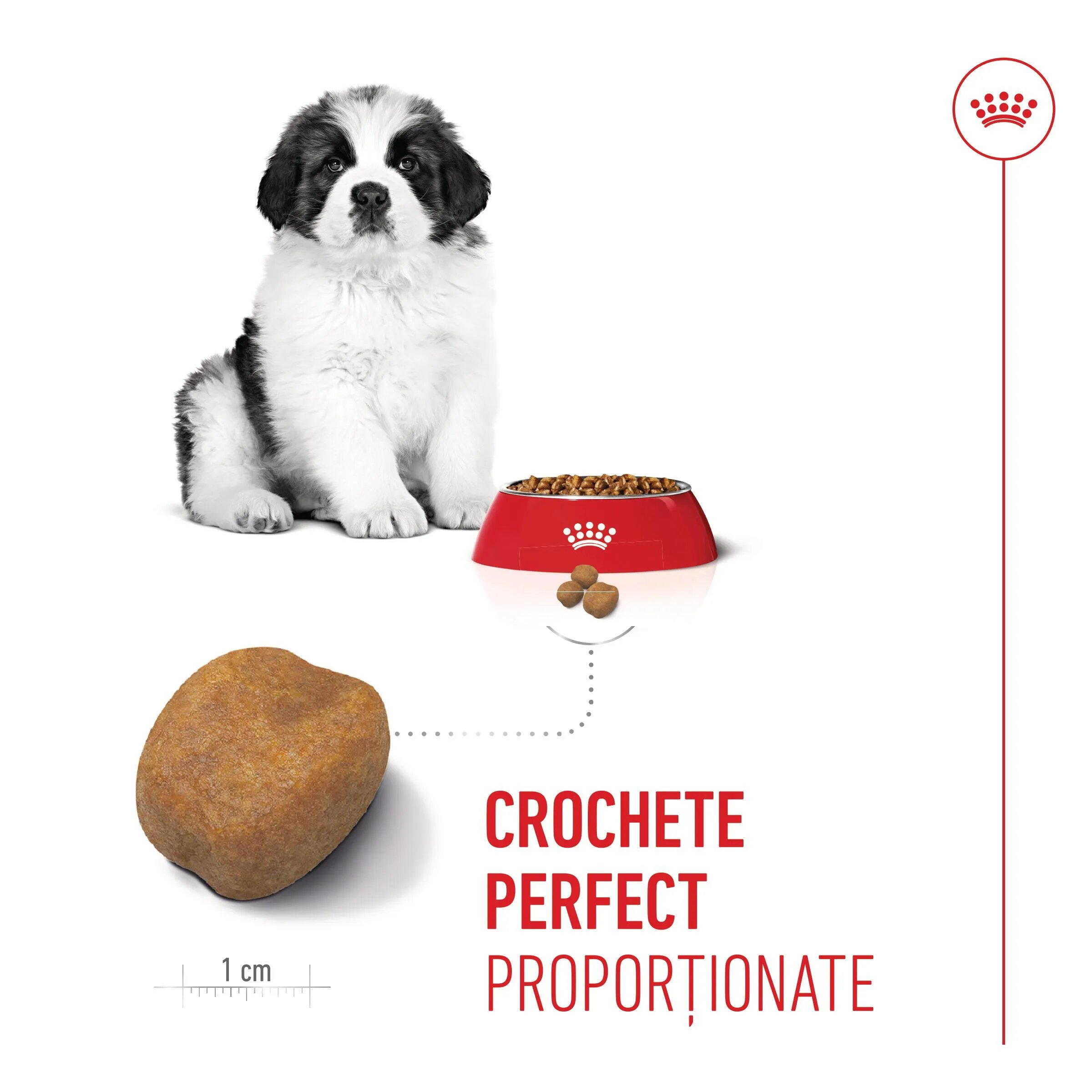 Royal Canin Giant Puppy hrană uscată câini junior etapa 1 de creștere 3.5kg