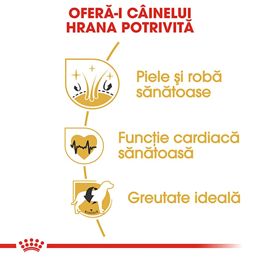 Royal Canin Golden Retriever Adult hrană uscată câini 3kg
