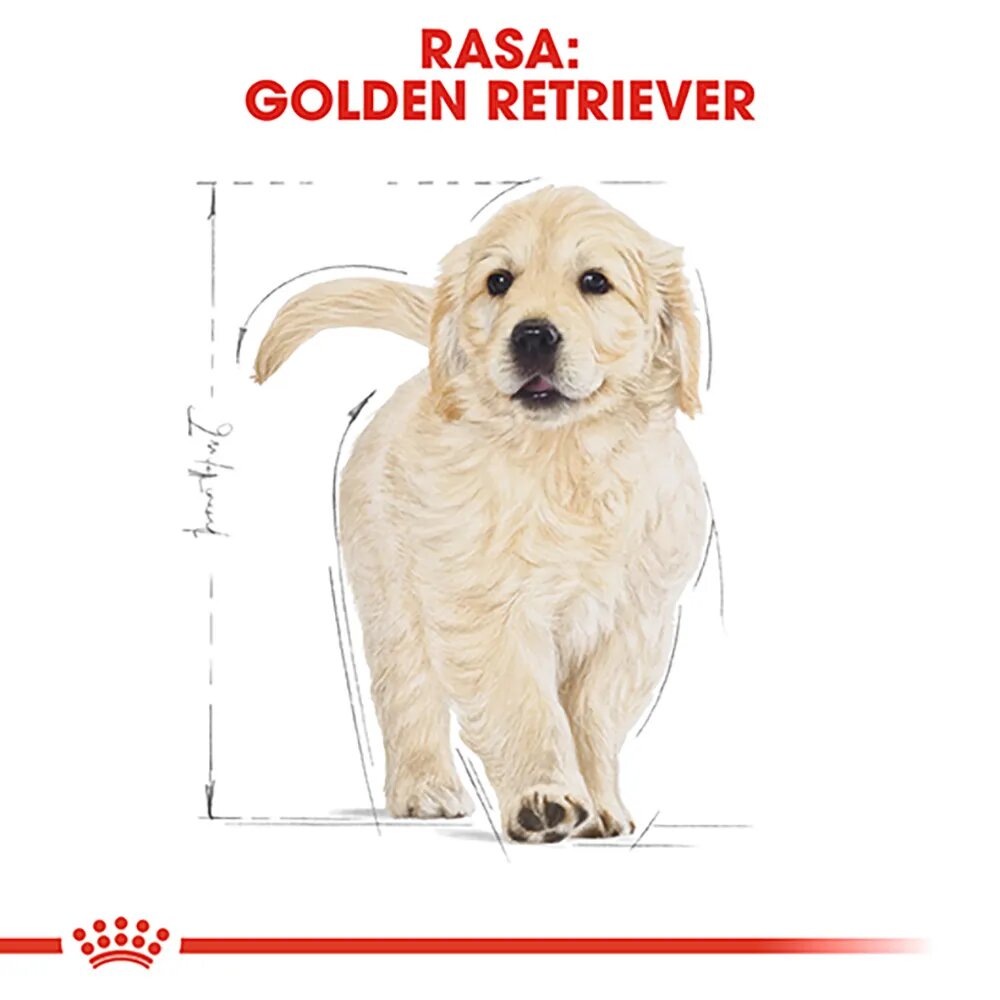Royal Canin Golden Retriever Puppy hrană uscată câini junior 12kg