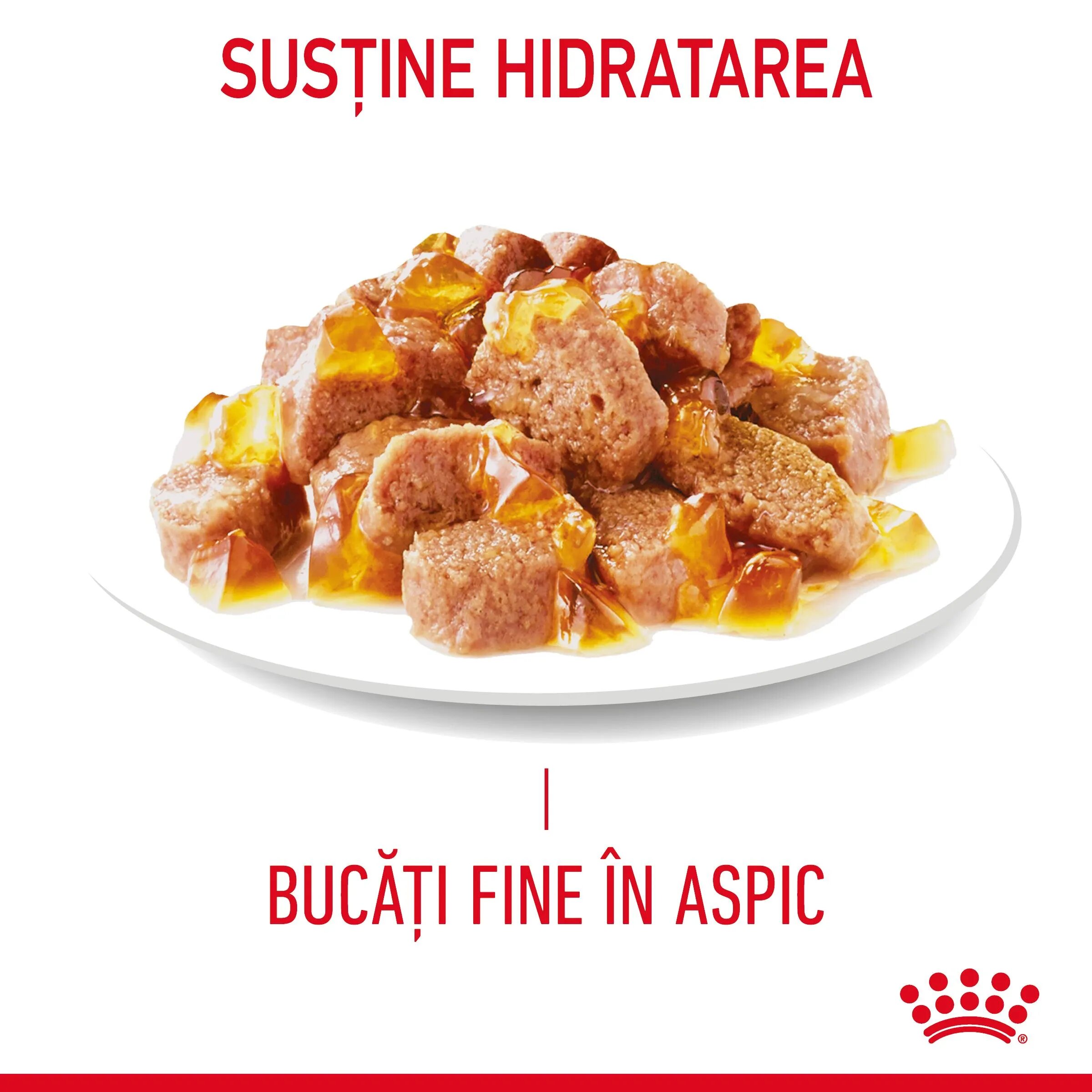 Royal Canin Hair&Skin Care Adult hrană umedă pisici piele & blană (în aspic) bax 85g x 12buc