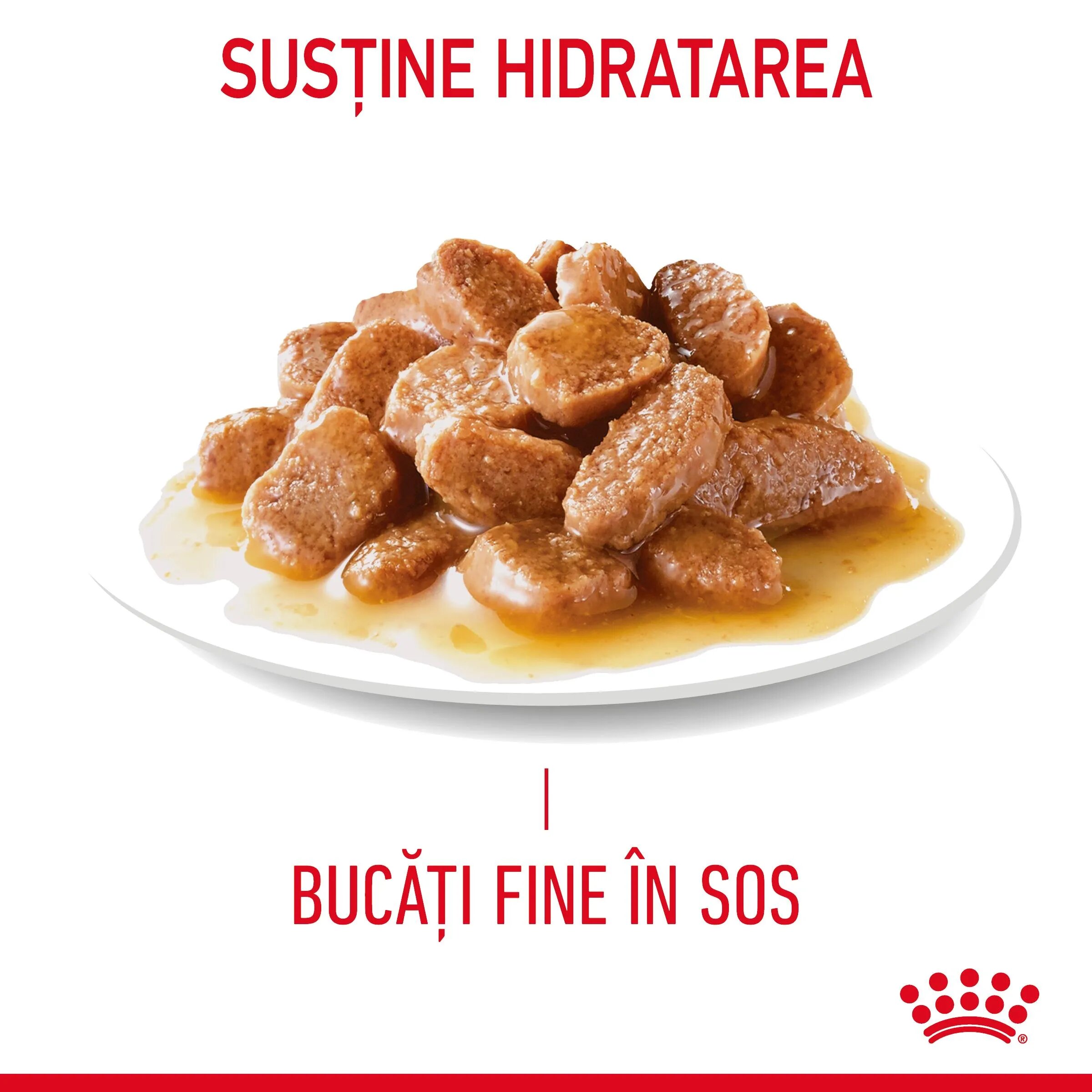 Royal Canin Hair & Skin Care Adult hrană umedă pisici piele & blană (în sos) bax 85g x 12buc
