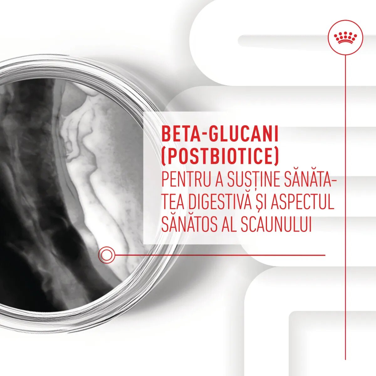 Royal Canin Immunity & Digestion Chews Puppy Supplements punguță recompense funcționale câini junior sistem imunitar sistem digestiv 100g