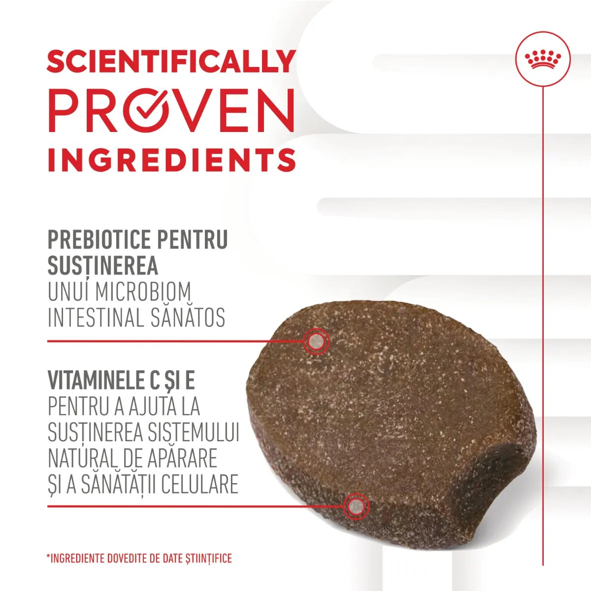 Royal Canin Immunity & Digestion Chews Puppy Supplements punguță recompense funcționale câini junior sistem imunitar sistem digestiv 100g