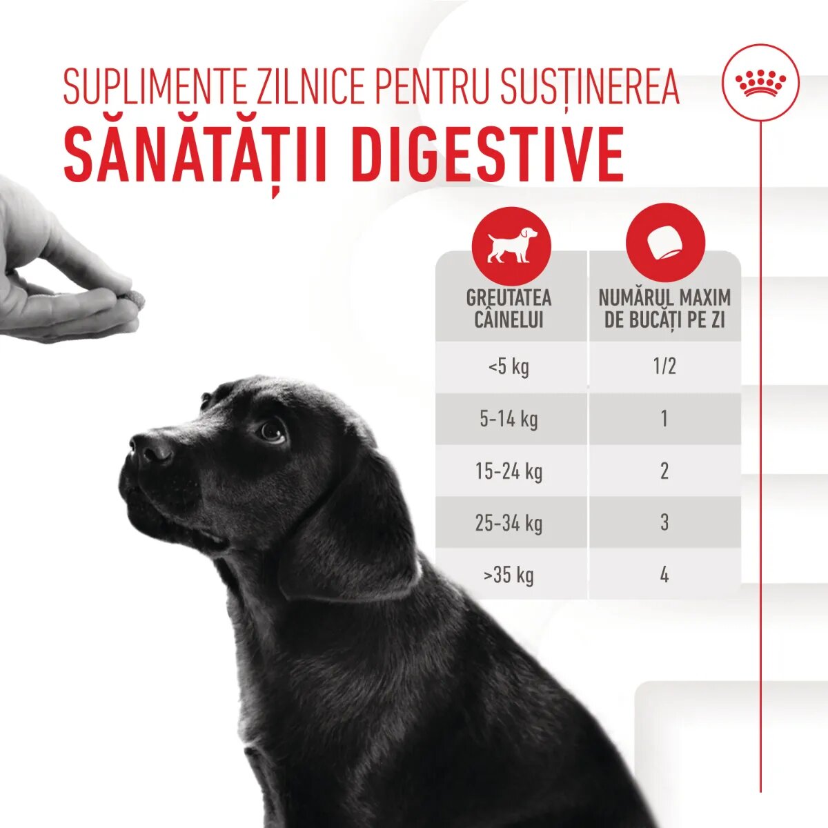 Royal Canin Immunity & Digestion Chews Puppy Supplements punguță recompense funcționale câini junior sistem imunitar sistem digestiv 100g