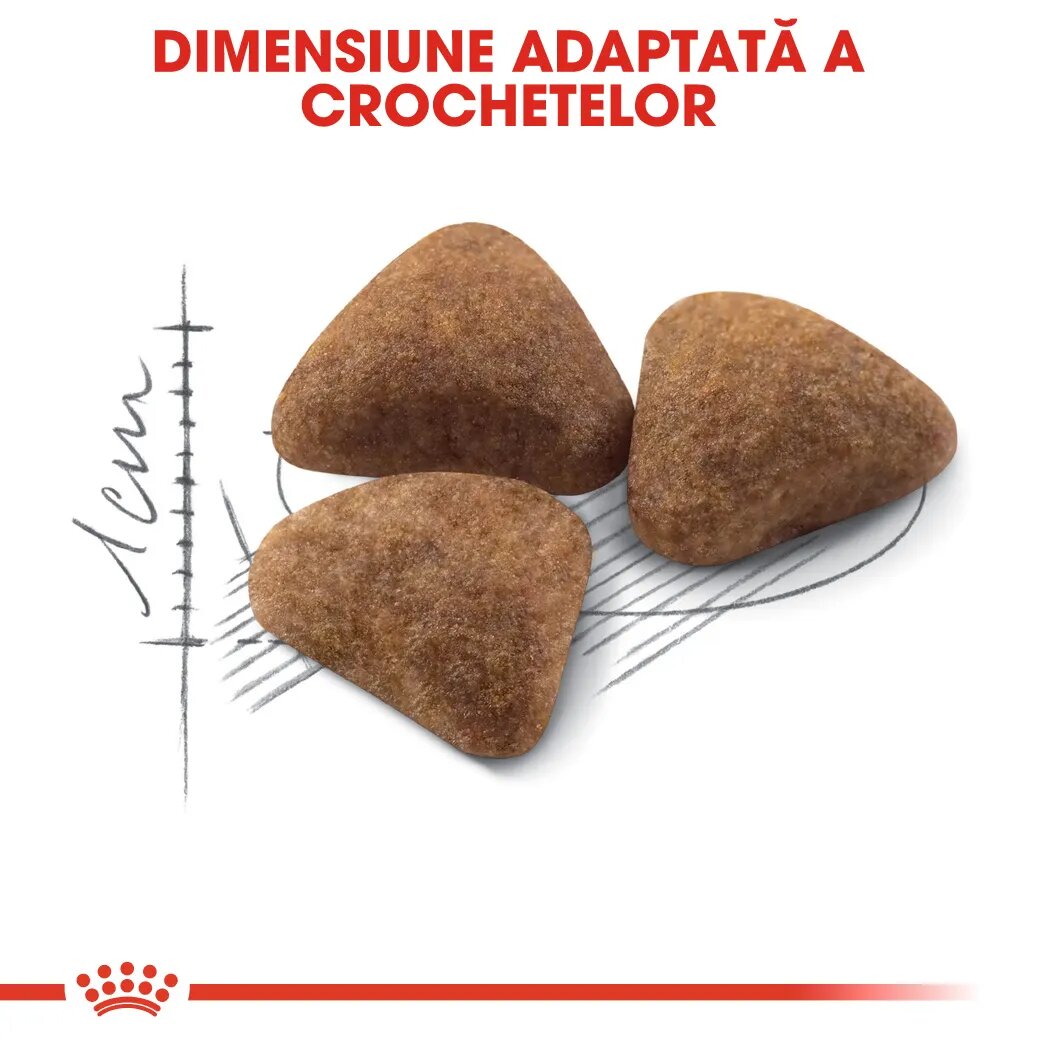Royal Canin Indoor Adult hrană uscată pisici de interior 400g