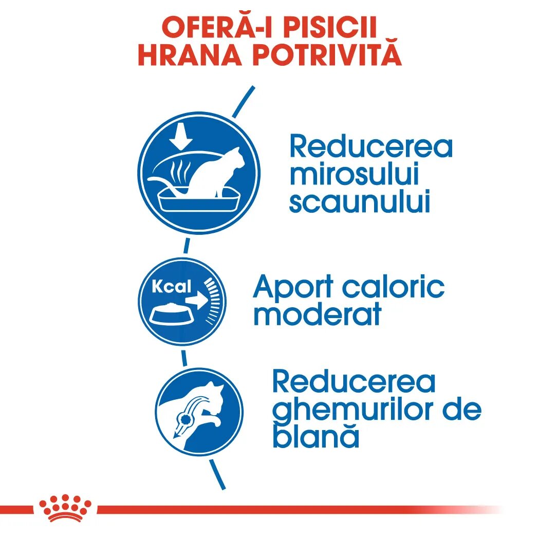 Royal Canin Indoor Adult hrană uscată pisici de interior 4kg