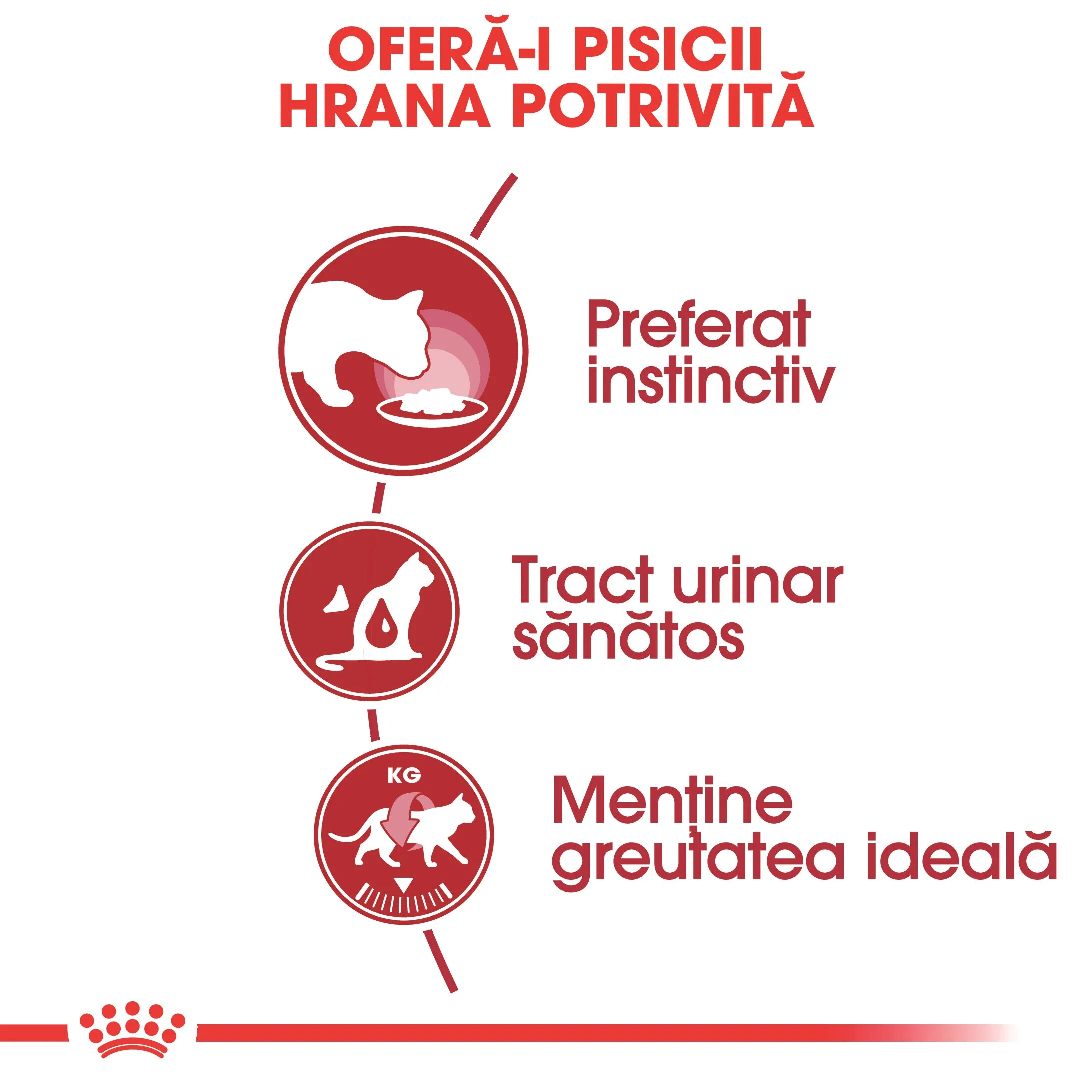 Royal Canin Instinctive Adult hrană umedă pisici (în aspic) bax 85g x 12buc