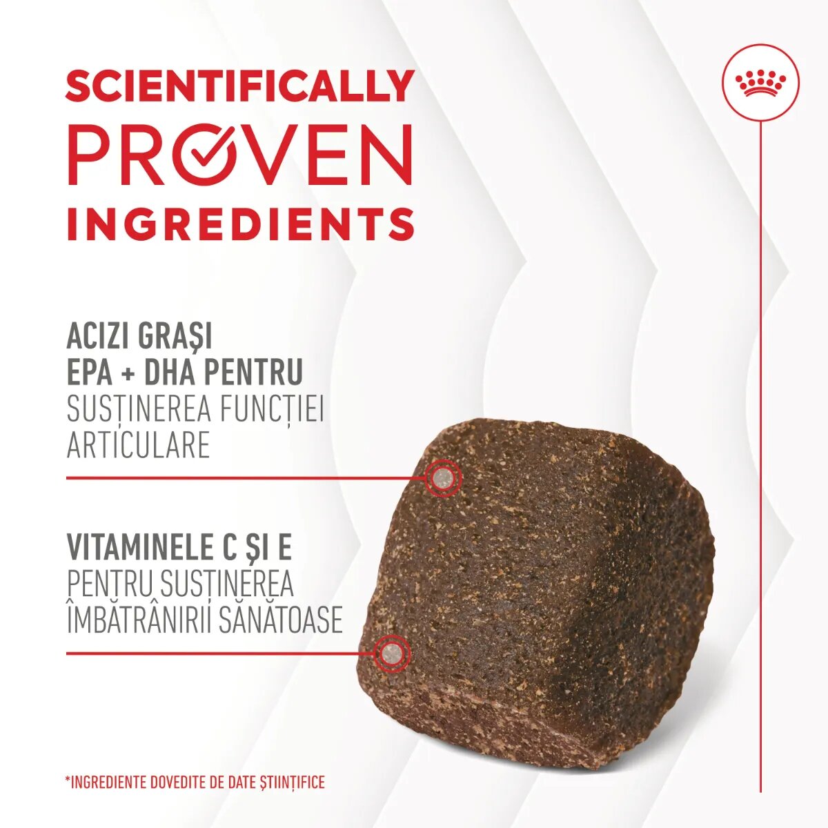 Royal Canin Joint & Ageing Chews Adult Supplements punguță recompense funcționale câini sistem articular 240g