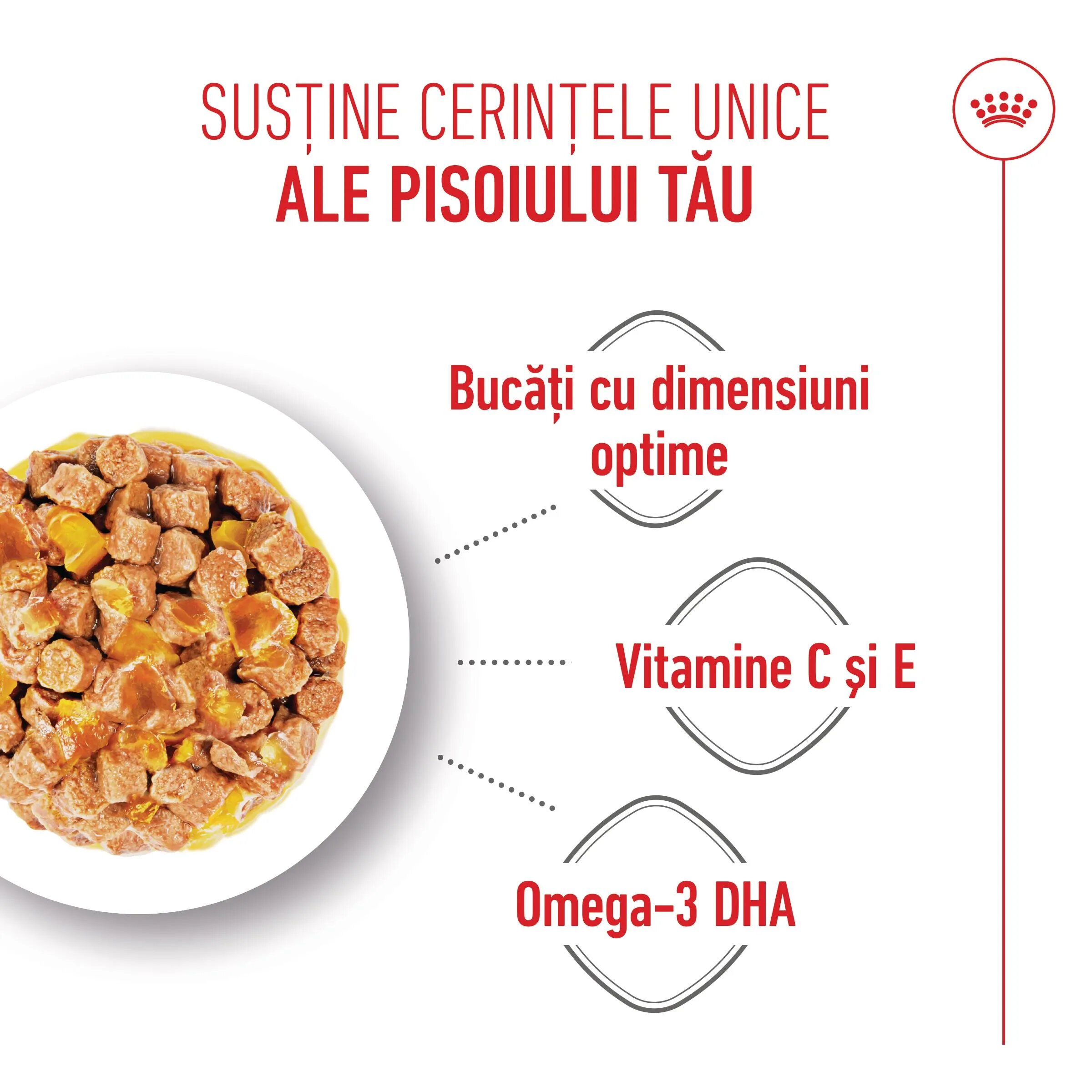 Royal Canin Kitten hrană umedă pisici (în aspic) bax 85g x 12buc