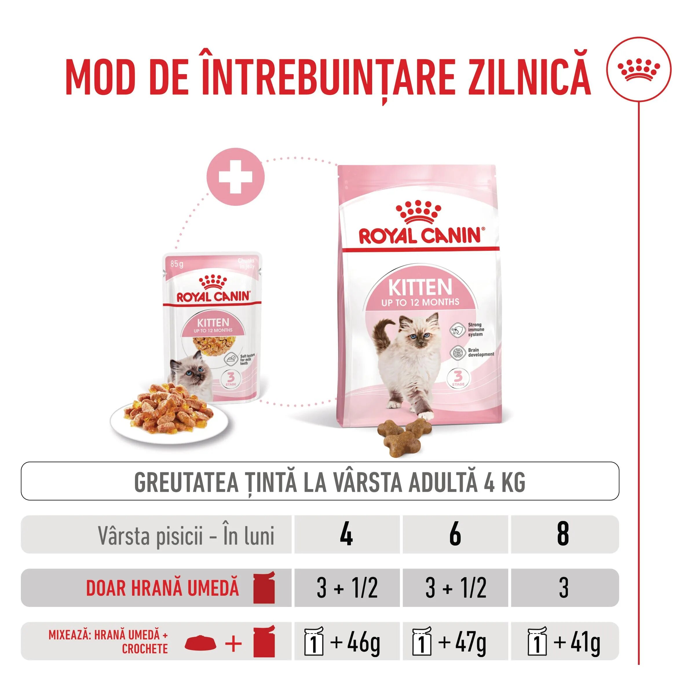 Royal Canin Kitten hrană umedă pisici (în aspic) bax 85g x 12buc