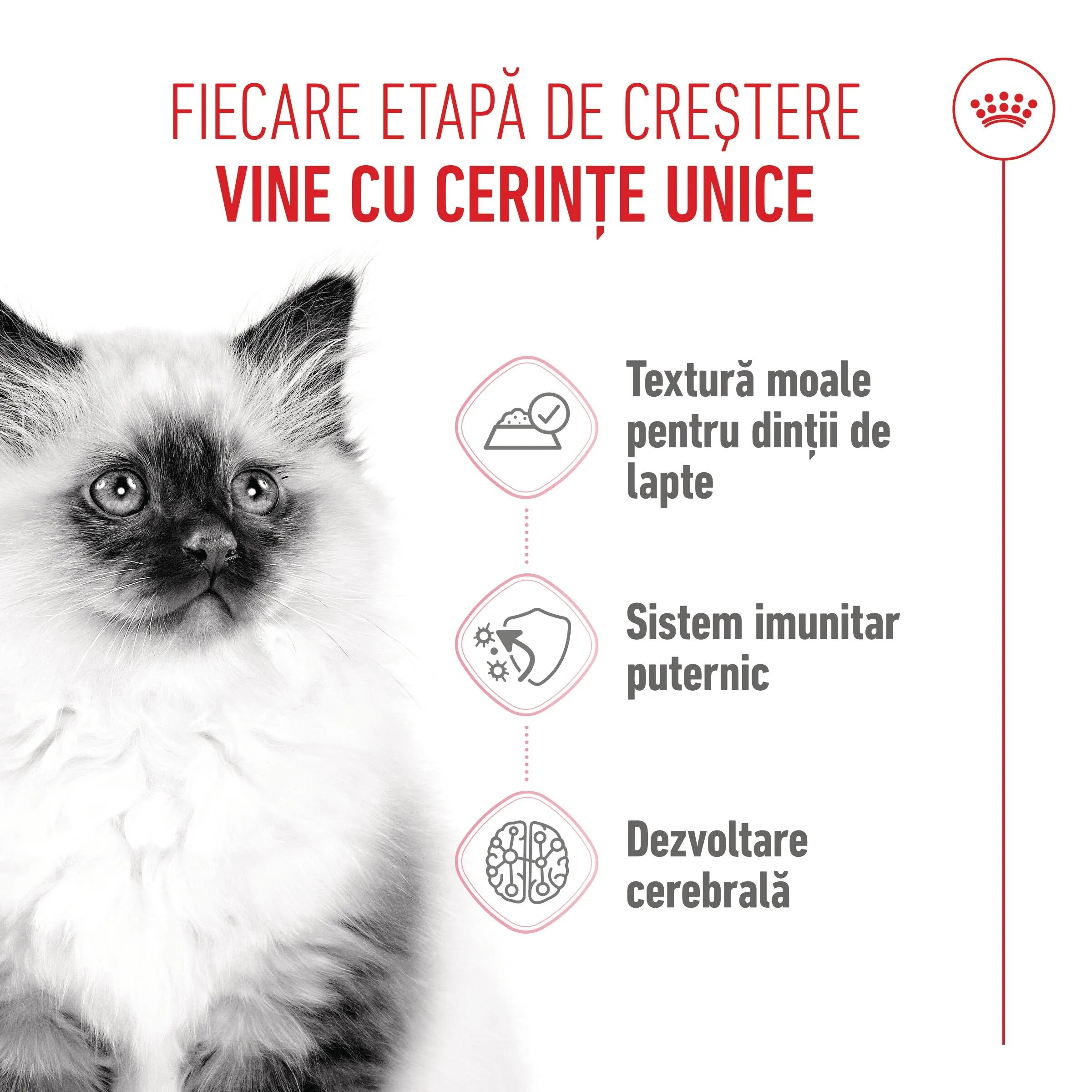 Royal Canin Kitten hrană umedă pisici junior (pate) 85g