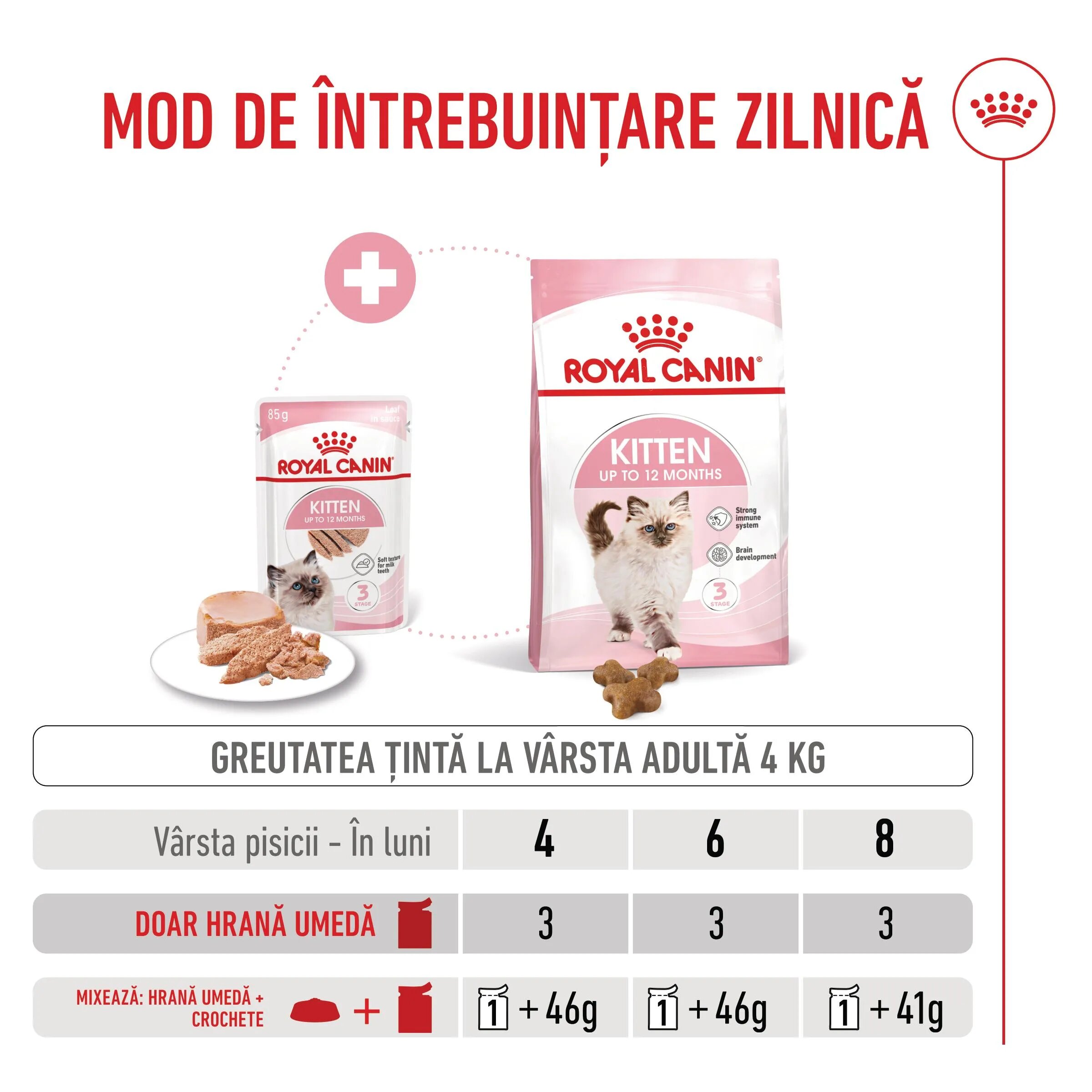 Royal Canin Kitten hrană umedă pisici junior (pate) bax 85g x 12buc