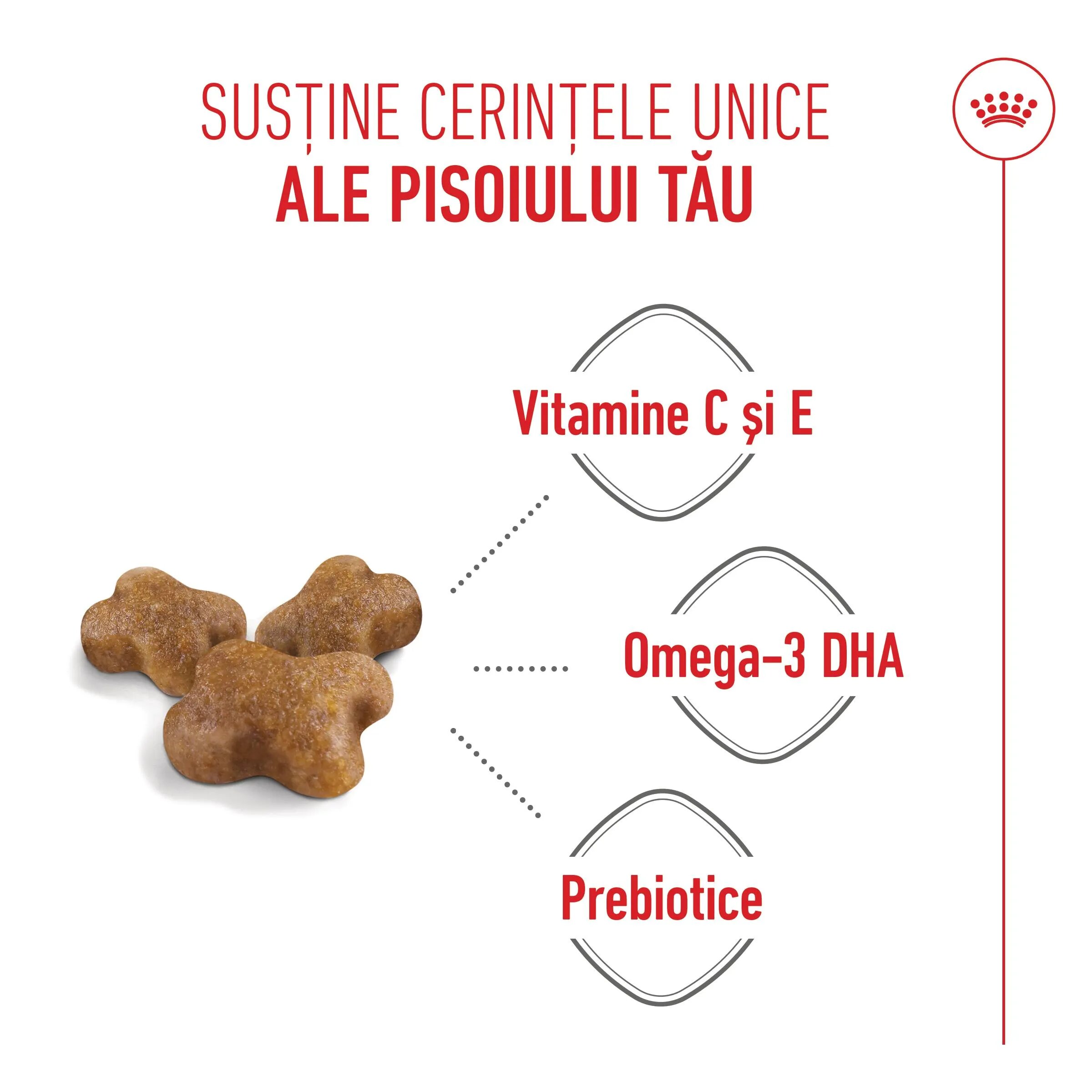 Royal Canin Kitten hrană uscată pisici junior 10kg